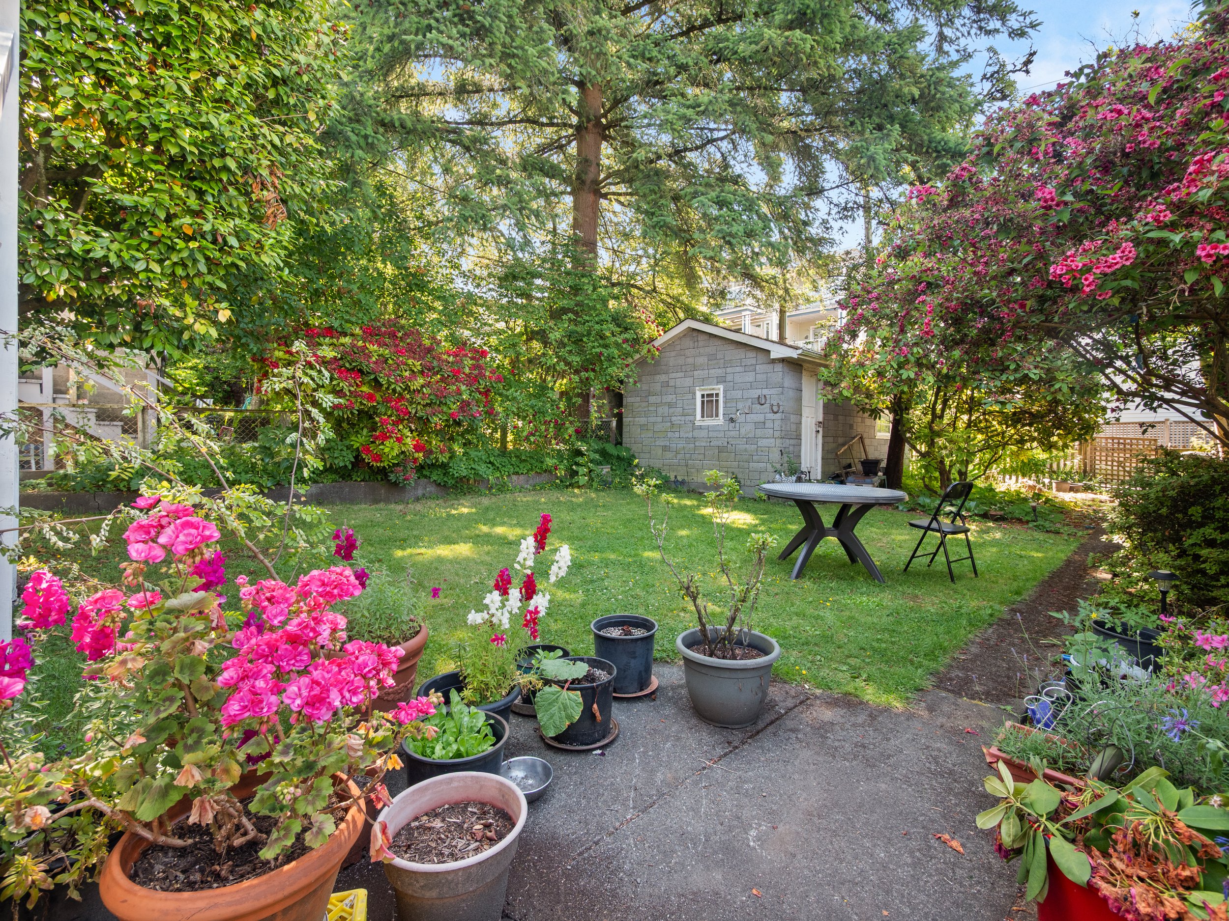 1524 William St Vancouver 33.jpg