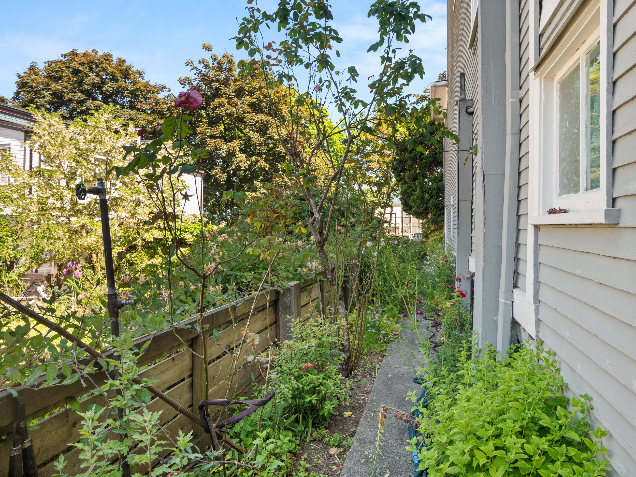 1524 William St Vancouver 38.jpg