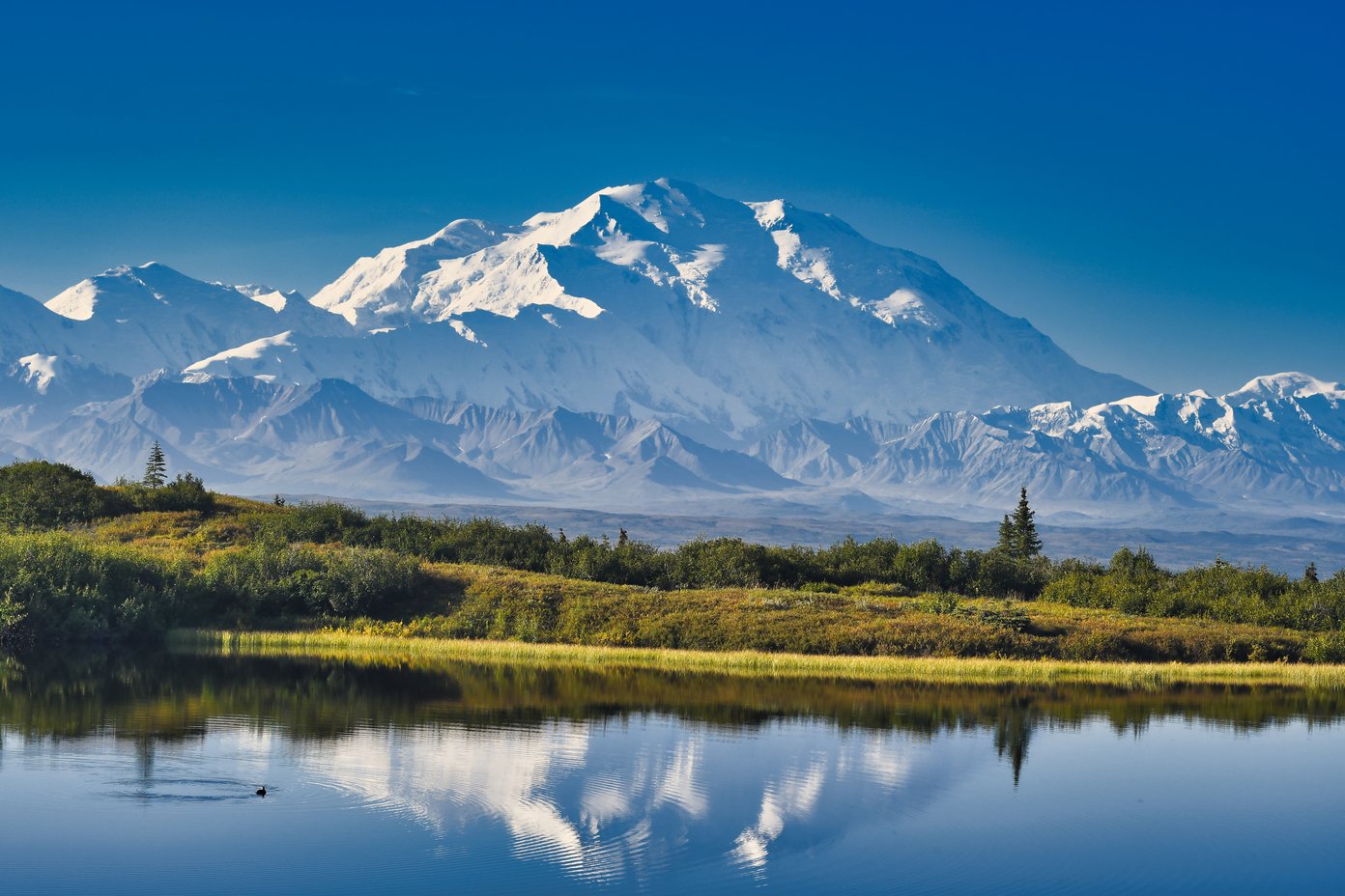 Explore Denali (Mt McKinley) National Park — A Tendency to Travel