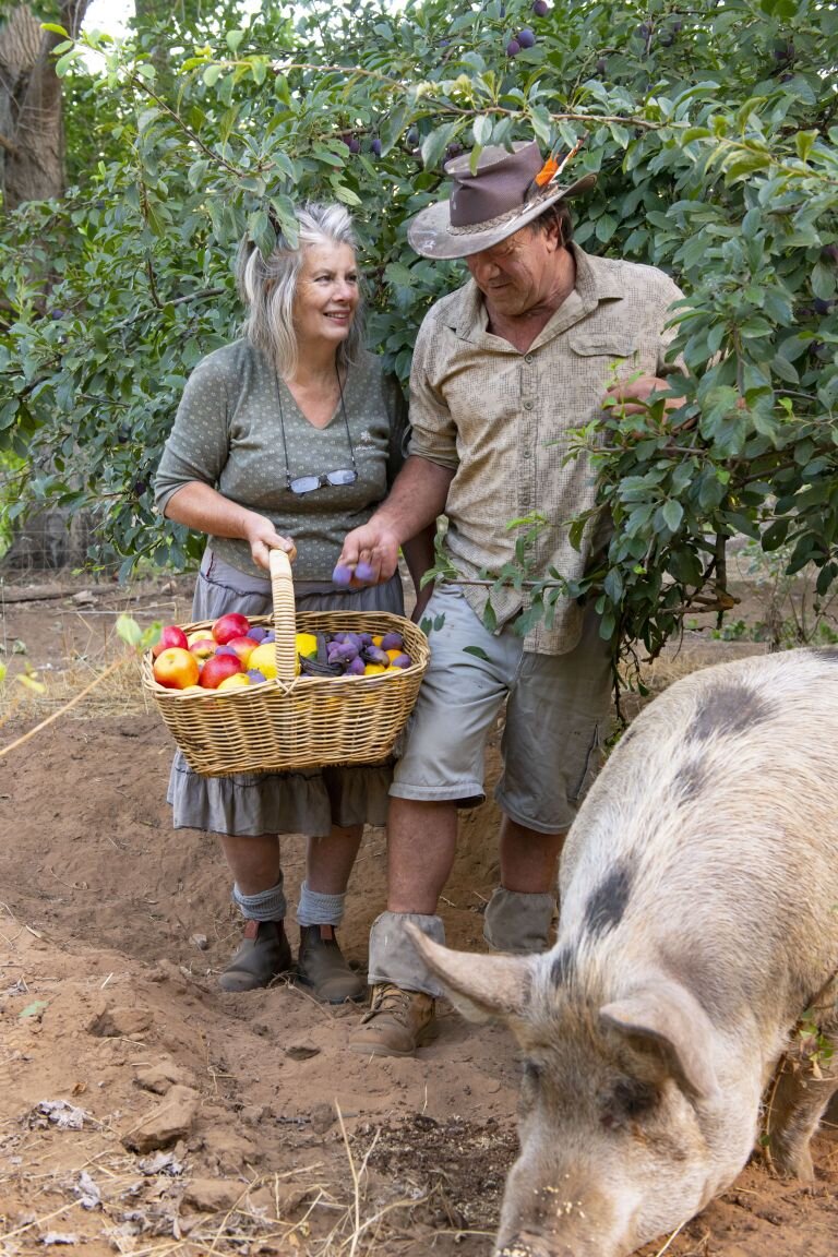 best-bee-stew-pig-plum-by-clint.jpeg