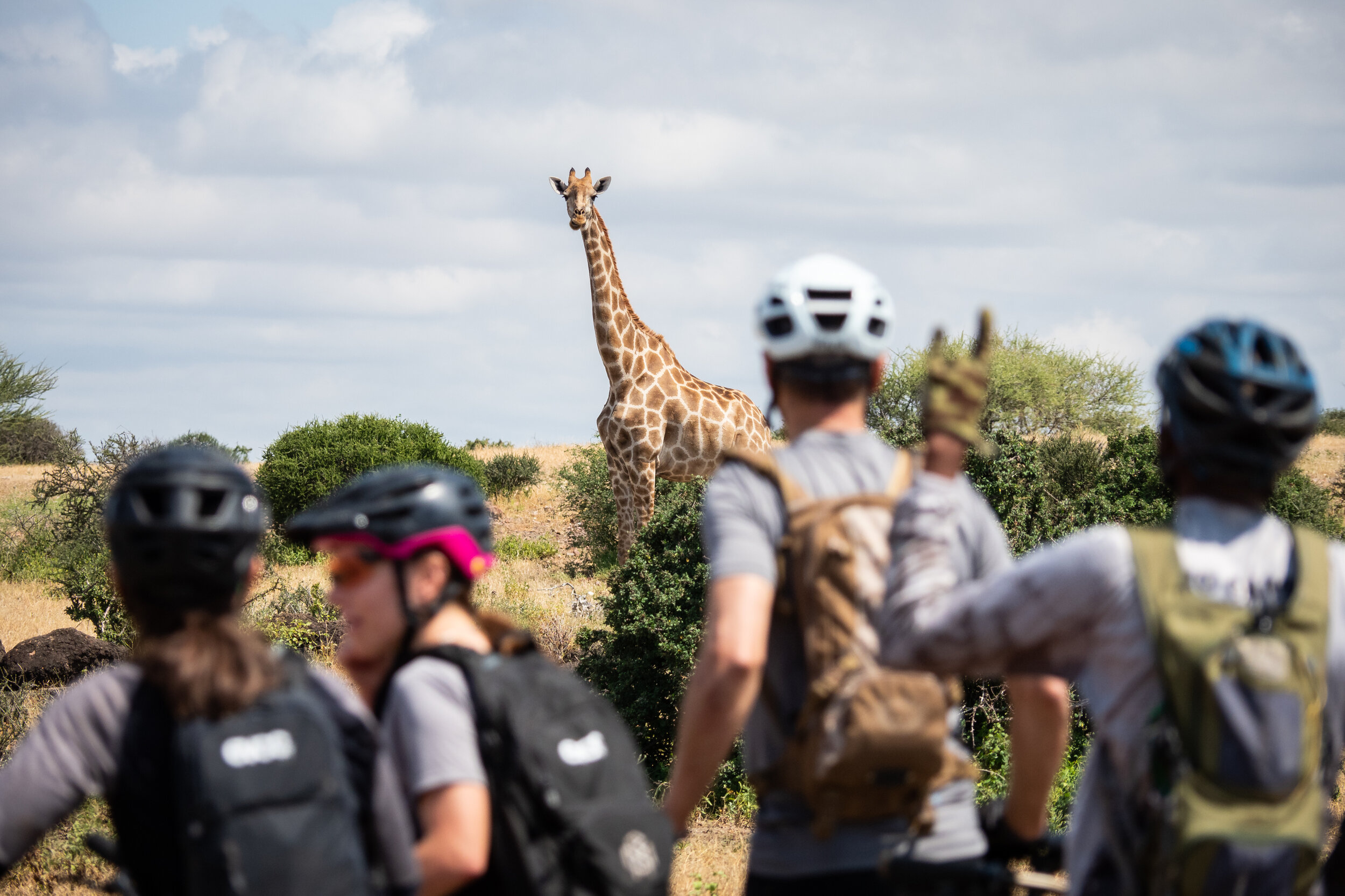 multiple day bike safari trip south africa