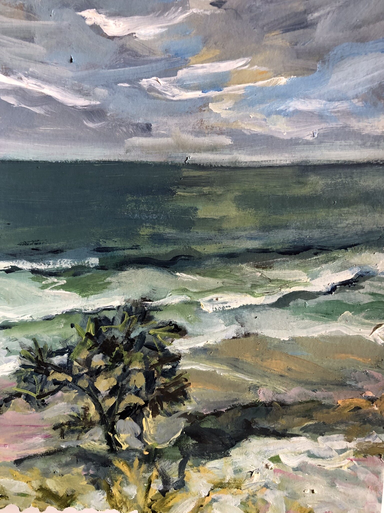 Evans Head 2