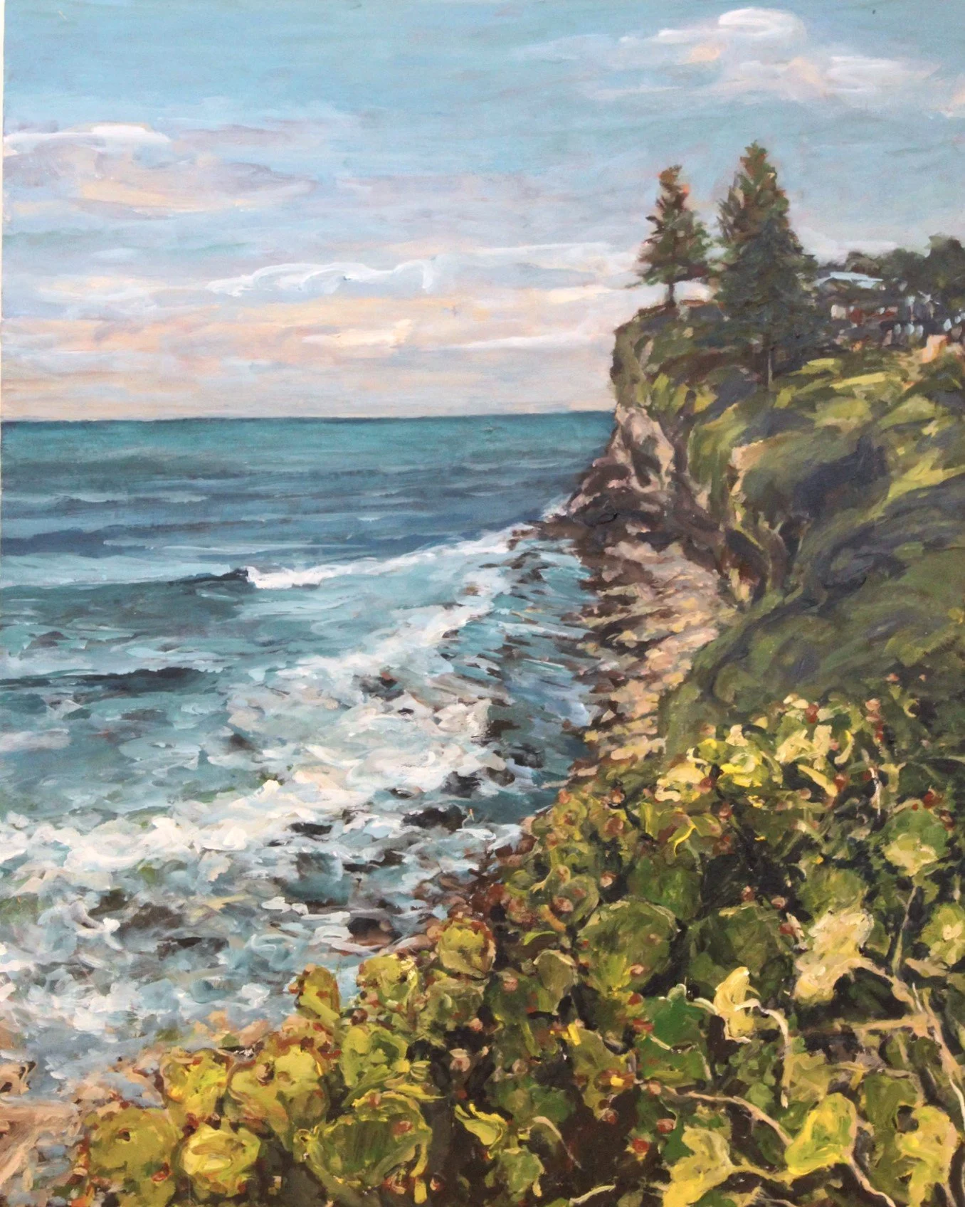 Avalon Headland