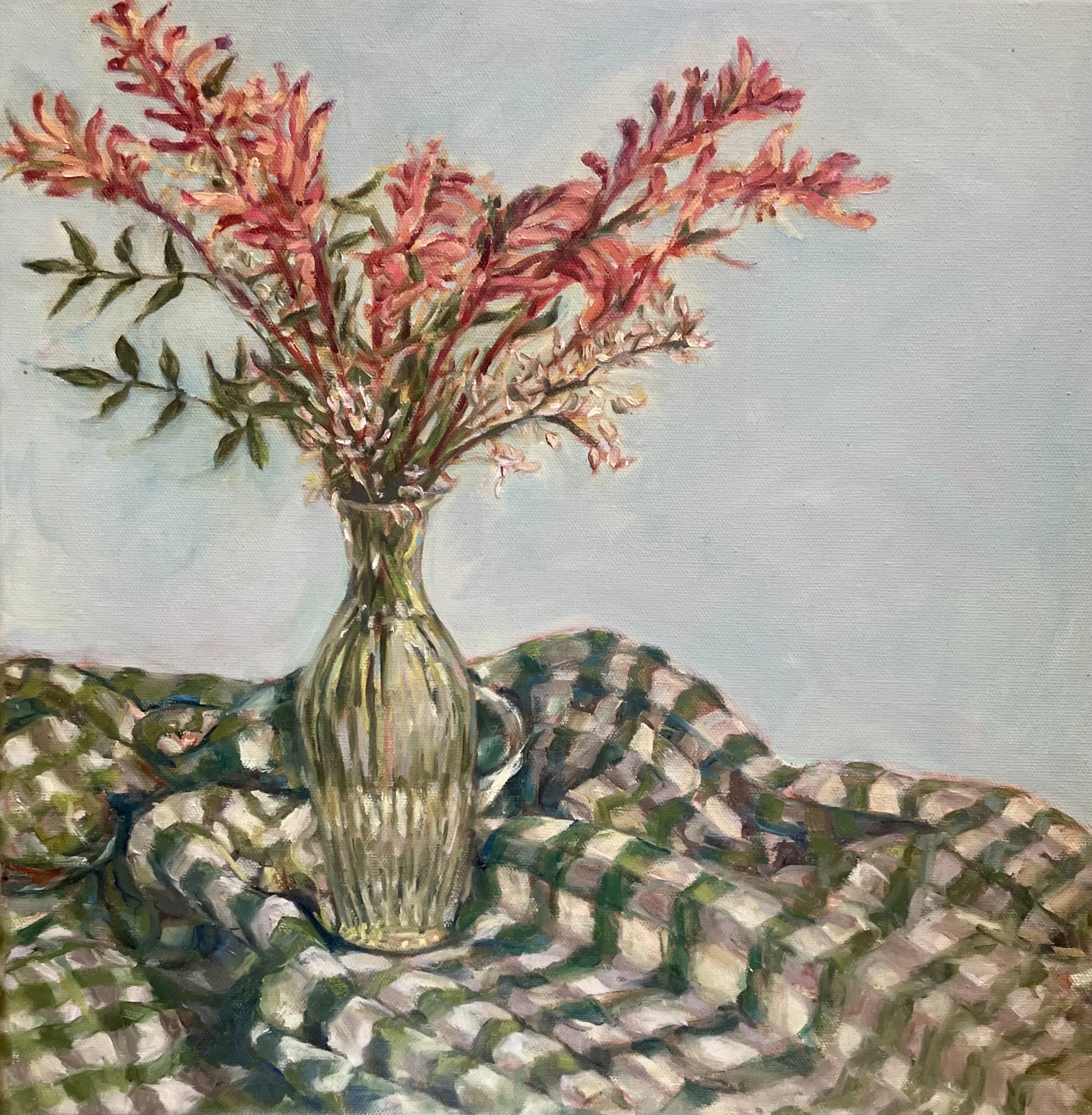Kangaroo Paw
