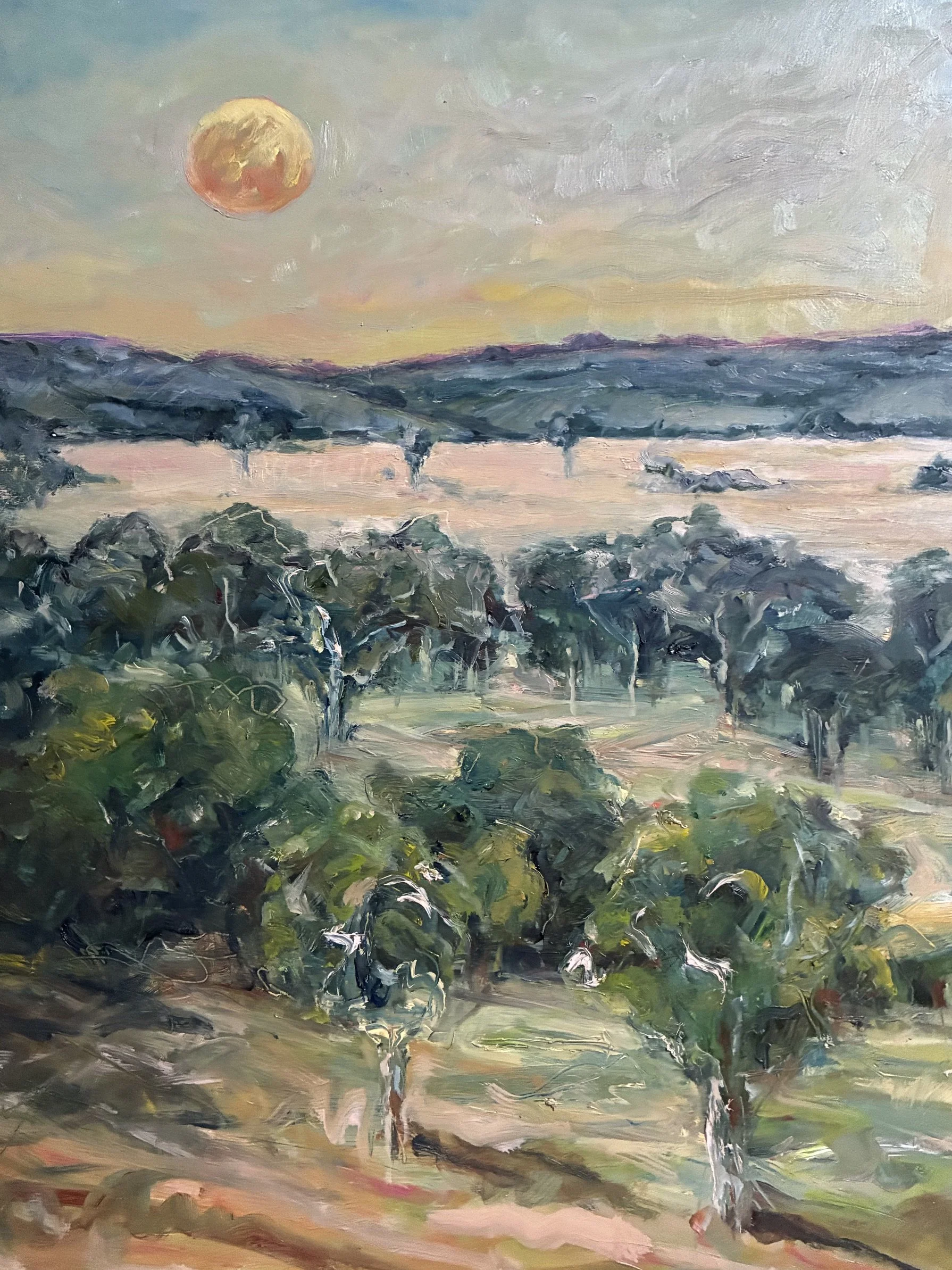 Full Moon at Goonoo 