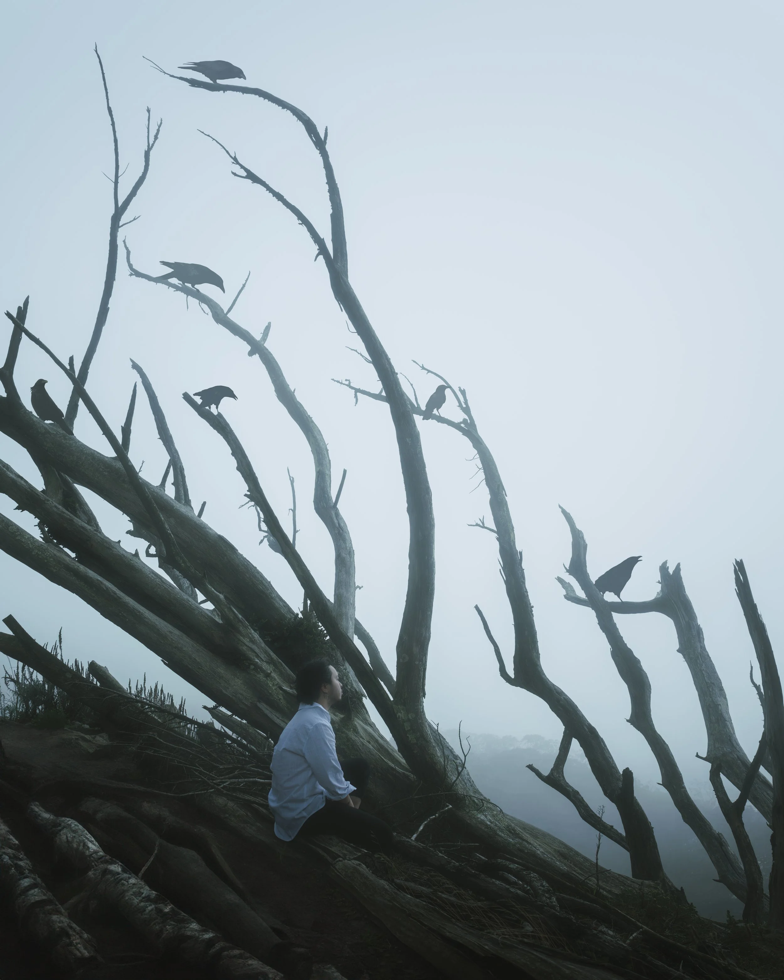 Hollow
