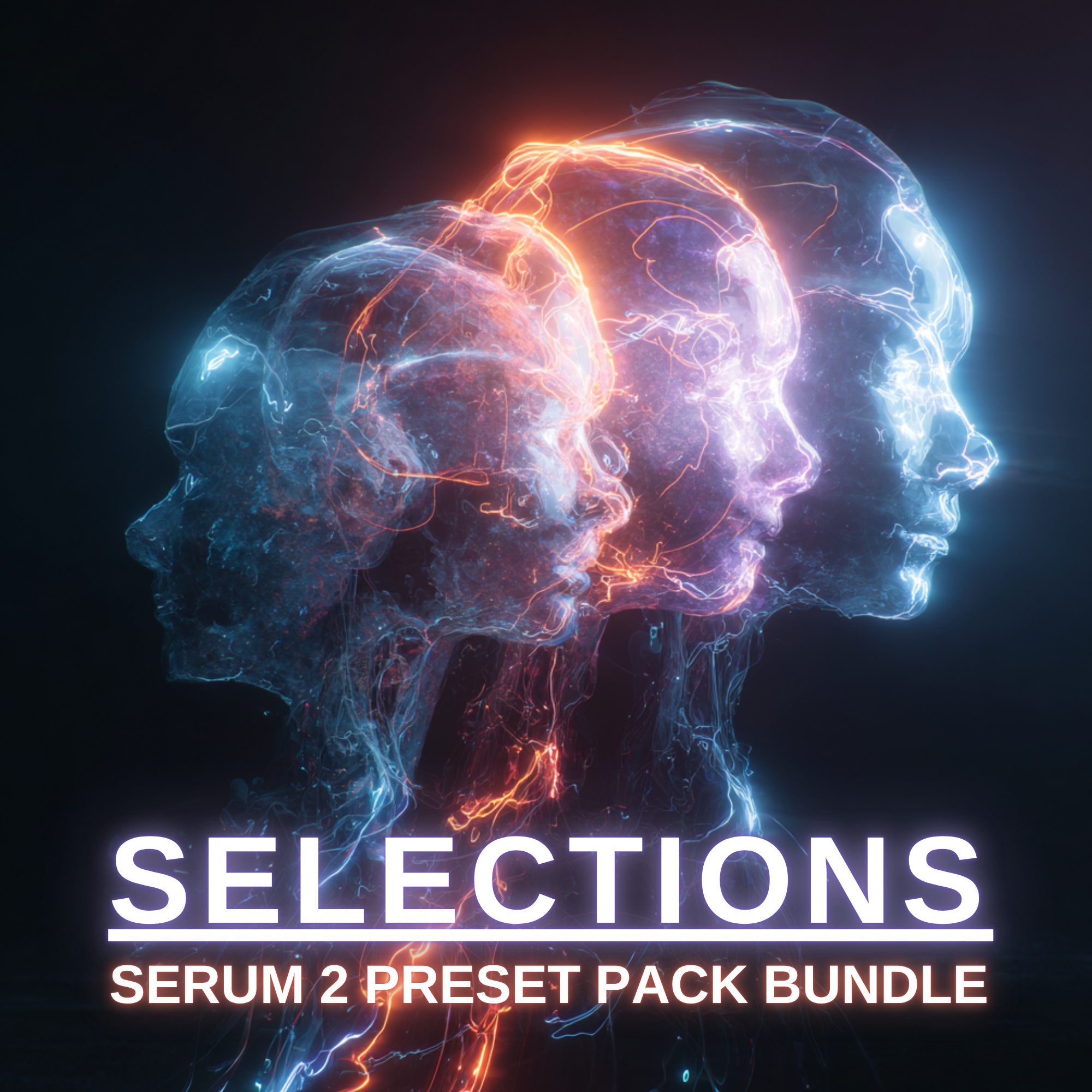 SELECTIONS ART.png