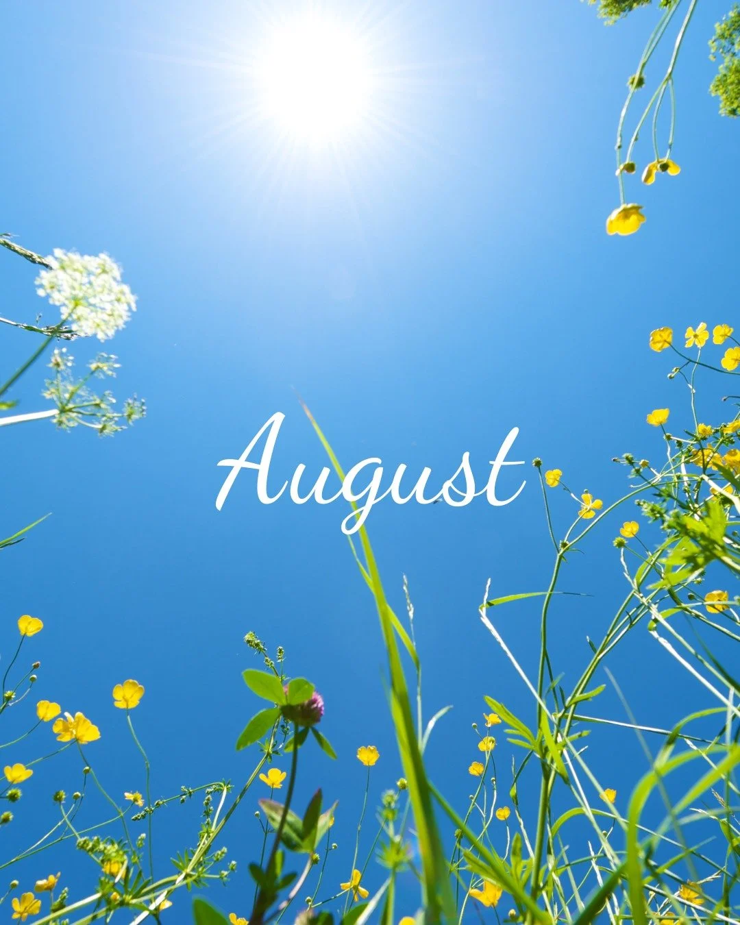 Over the summer we meet on an informal basis. We have a great line up of gatherings from BBQ&rsquo;s, campfires, worship, prayer, crafts, walks, to cuppas &amp; cake. We are looking forward to a great summer together! ☀️

To find out more check your 
