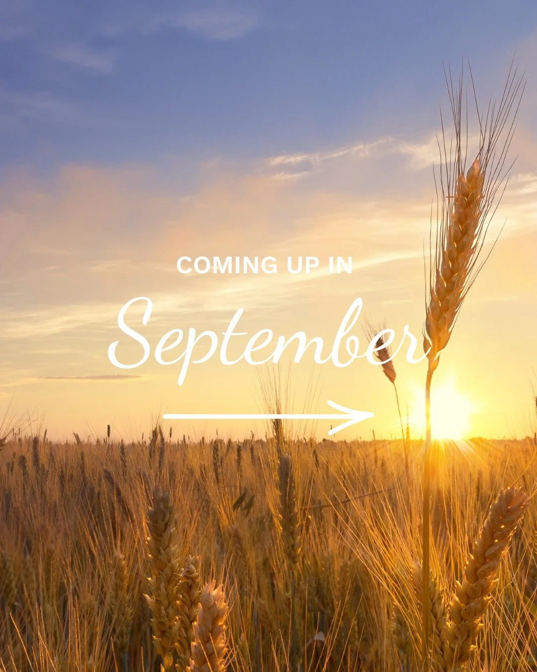 There is loads coming up in September! Take a look and find more details in the e-newsletter, or get in touch with the church office via link in bio 🎉