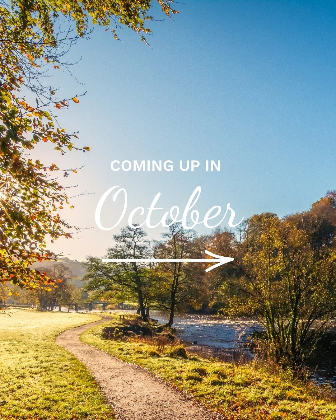Take a look at what's coming up this month! Find more details in the e-newsletter, or get in touch with the church office via link in bio 🎉