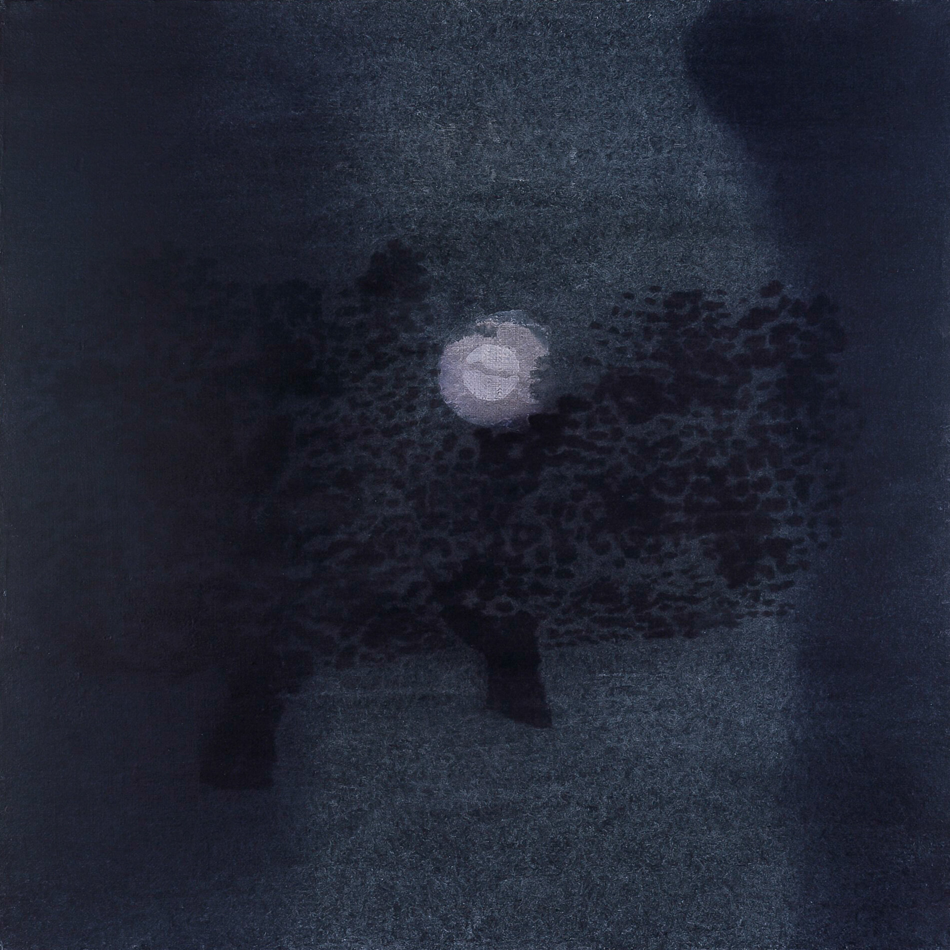 Plenilunio tra gli ulivi (2005)
