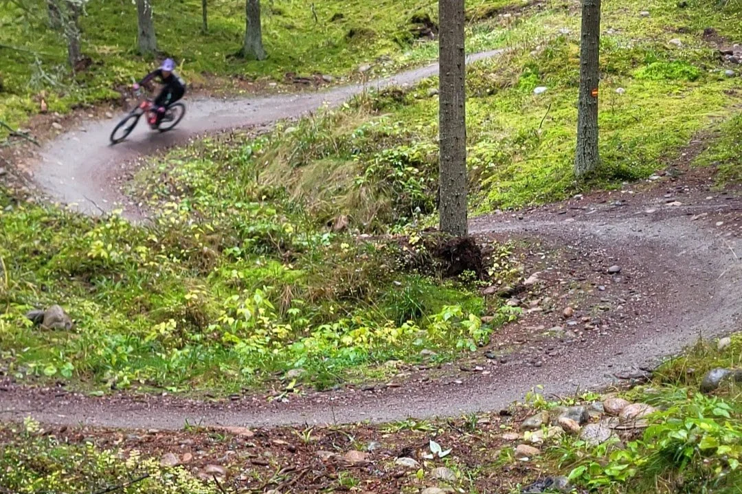Pyöräilijä ajamassa mutkaista polkua metsässä, vauhdikas kaarre luonnon keskellä