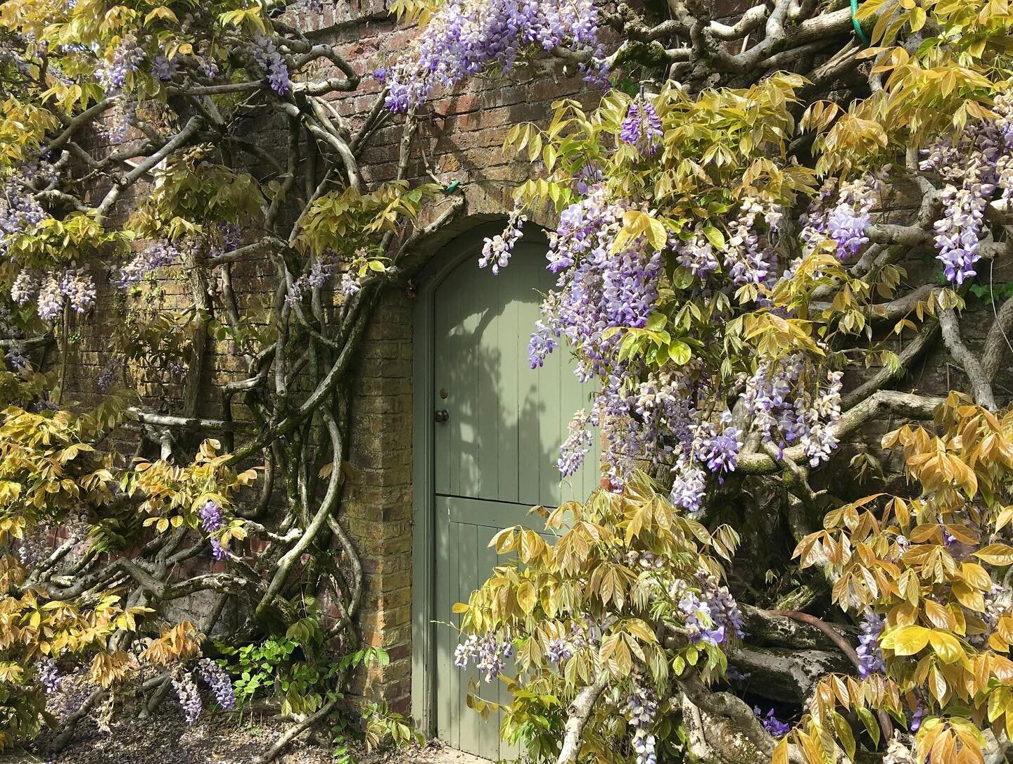 How long til spring?!

If you&rsquo;re a garden lover, spring is the most wonderful time to visit Cornwall. All of our great gardens bursting into bloom, like this wisteria at Trelissick, and the rhododendron and camellia at Heligan and Caerhays. 

W