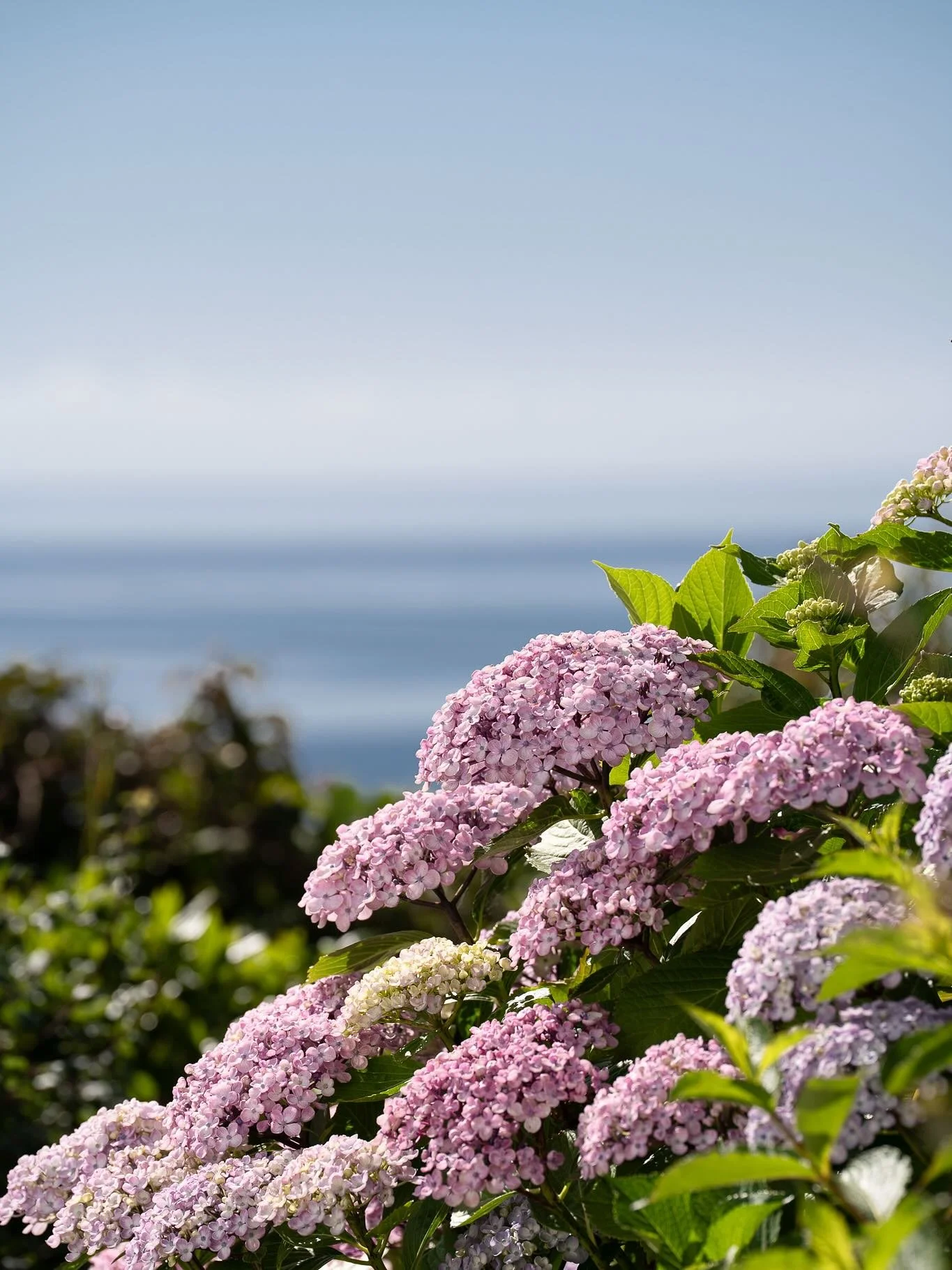 Week one of the summer holidays, a brutal bout of Norovirus for the whole family 😩 

Photos from a stunning coastal walk a few weeks ago to cheer the mood (just look at the view in the final photo!) I think week two is going to be mostly about recov