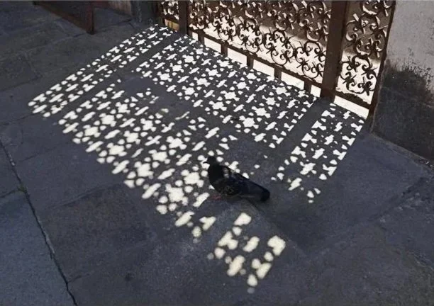 LA BIENNALE ARCHITETTURA 2025-52.jpg