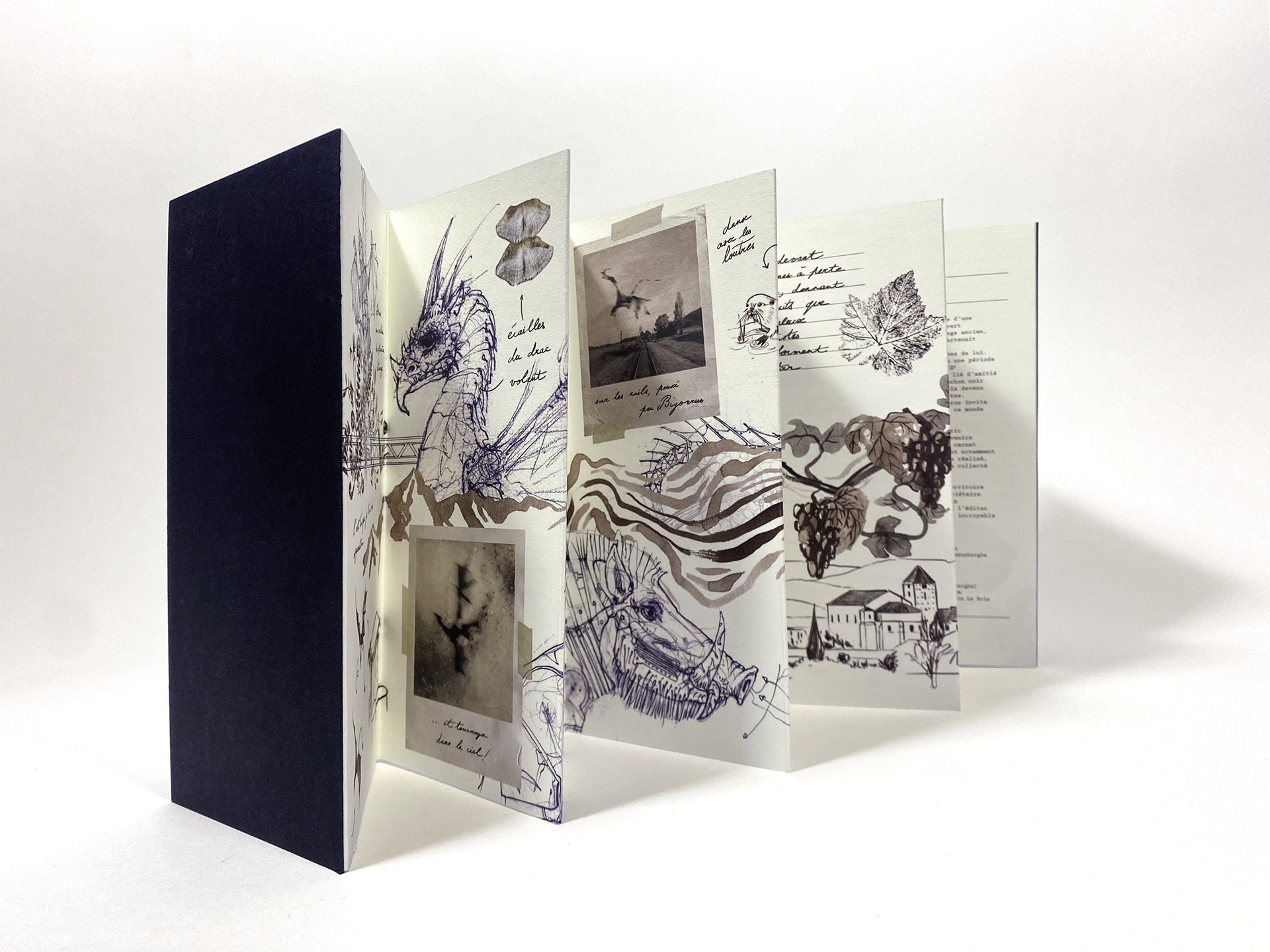 Carnet de voyage sous forme de leporello.