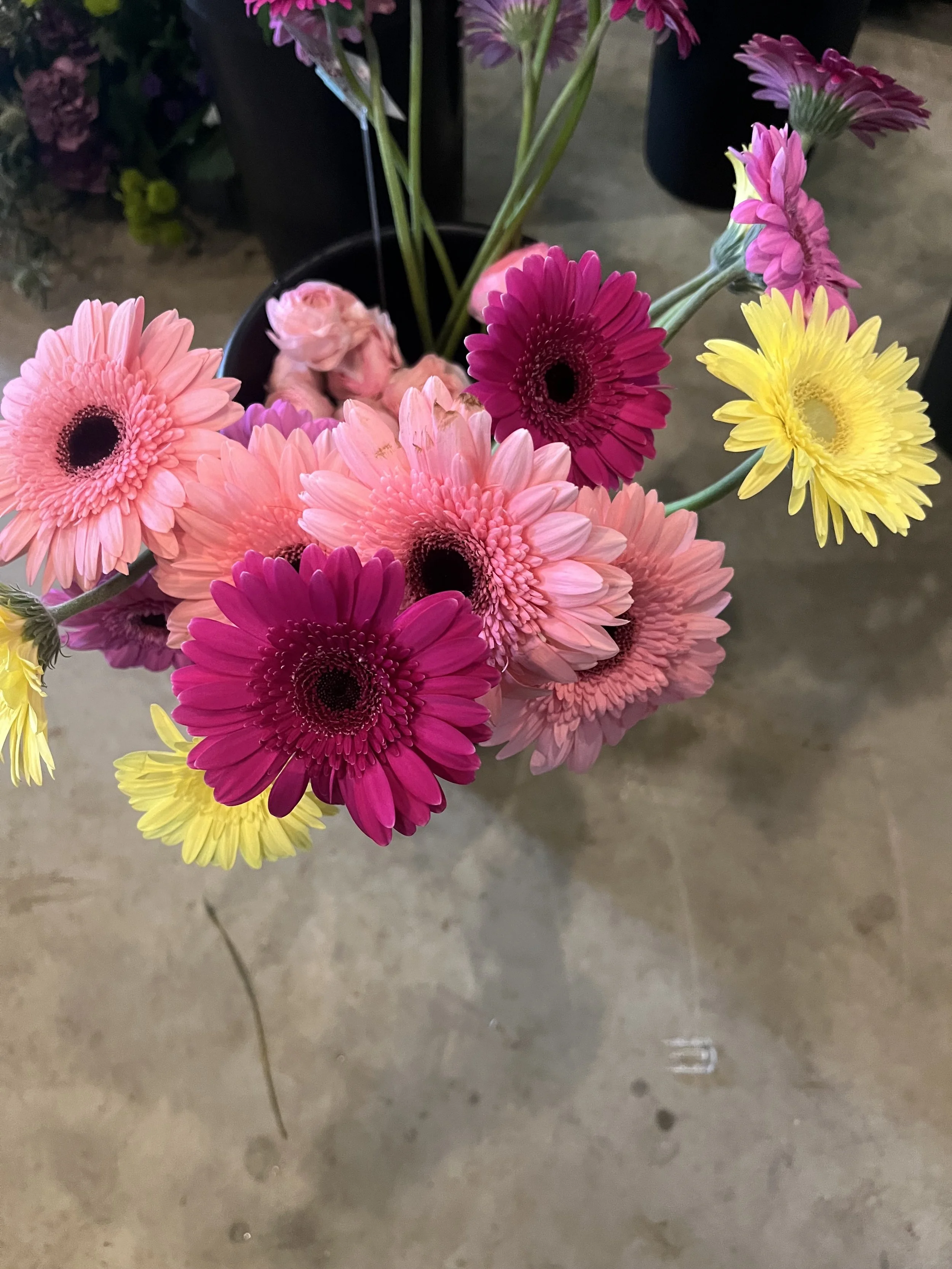 IMG_5580.jpeg