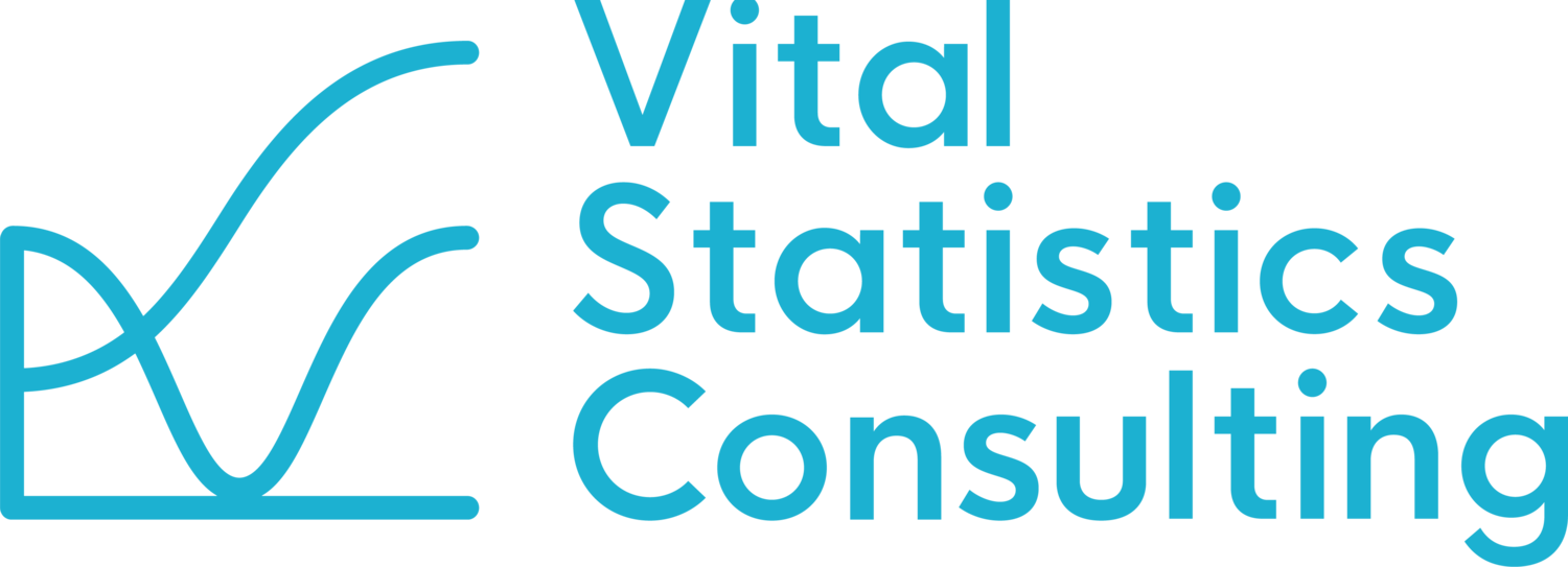 Vital Statistics Consulting