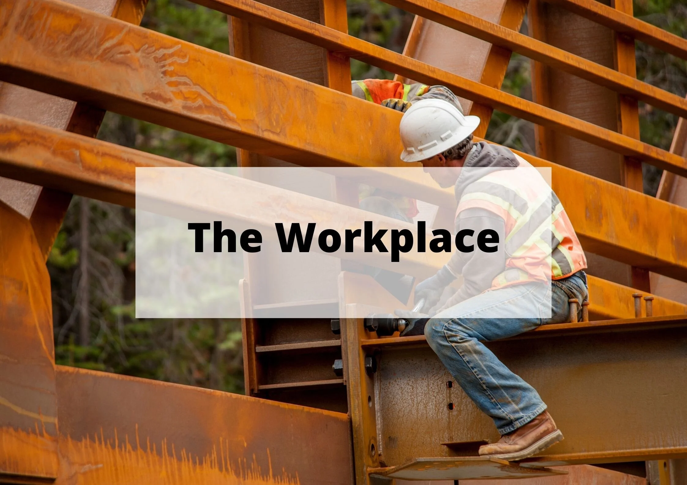 The Workplace
