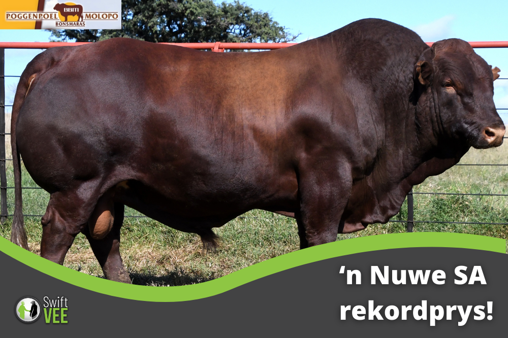 So lyk R2.1 Miljoen se bul