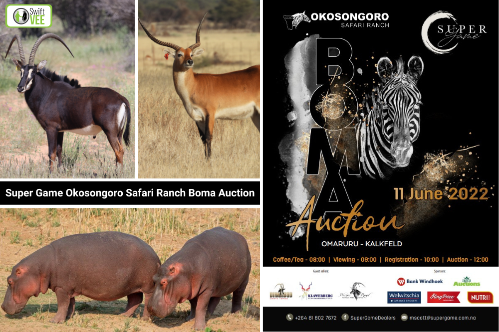Exceptional genetics from Namibian Game Breeders on 11 June