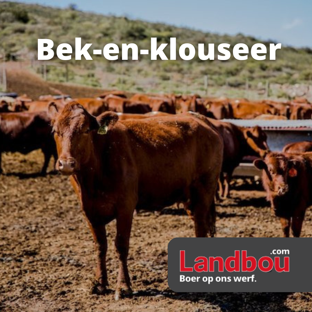 Bek-en-klouseer nou ook by voerkrale