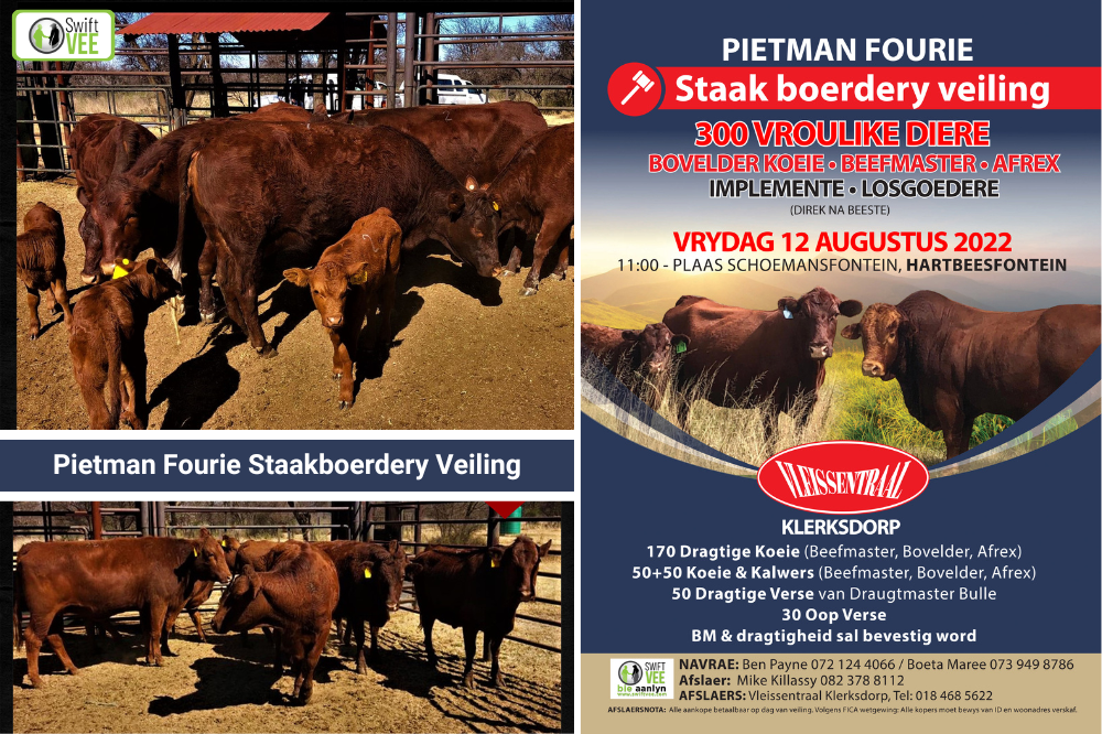 Die Pietman Fourie Staakboerdery Veiling