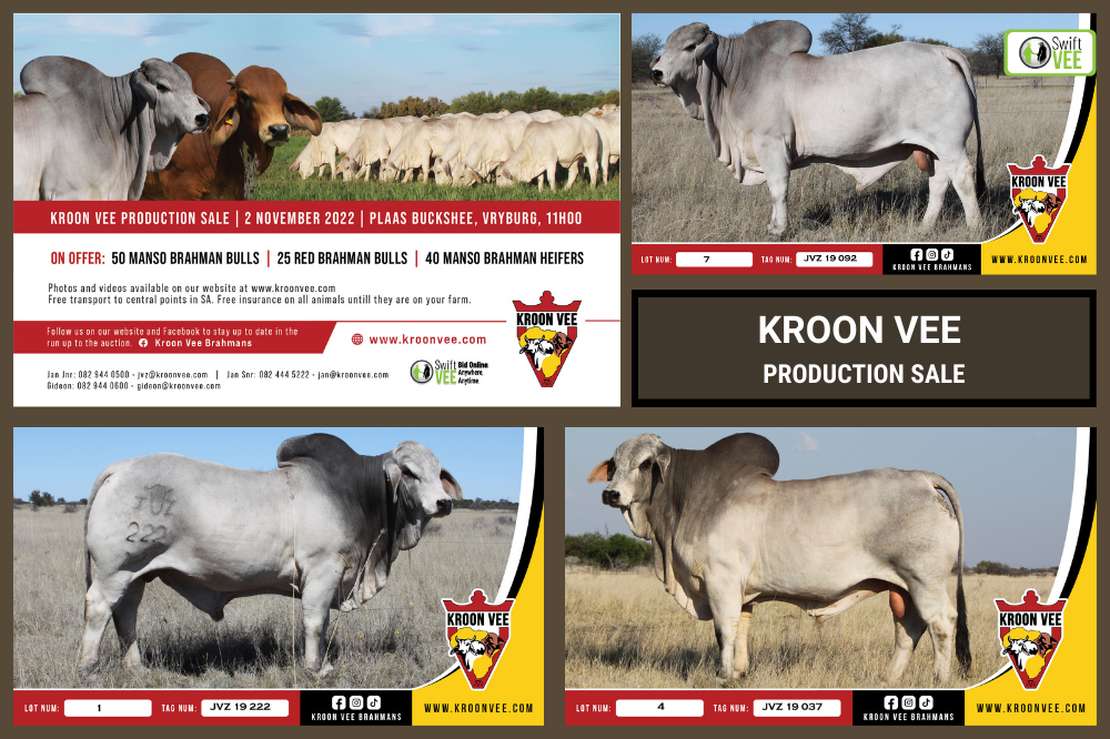 Kroon Vee Production Sale - 2 November 2022