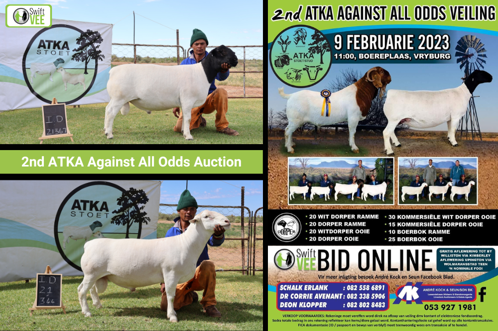 Die 2de ATKA Against All Odds Veiling op 09 Februarie 2023