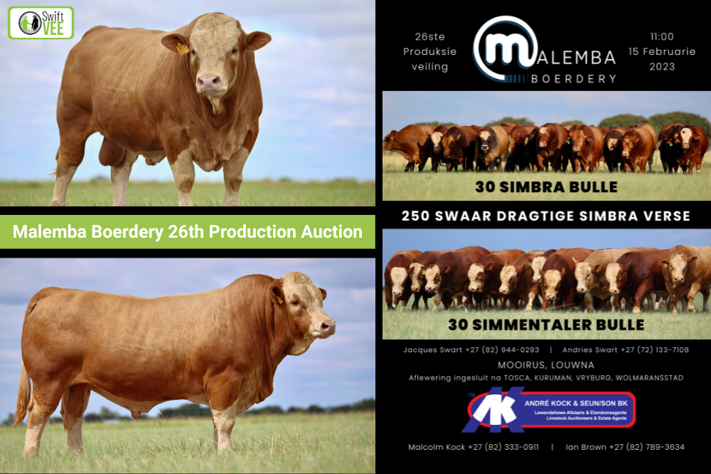 The Malemba Farming 26th Production Auction