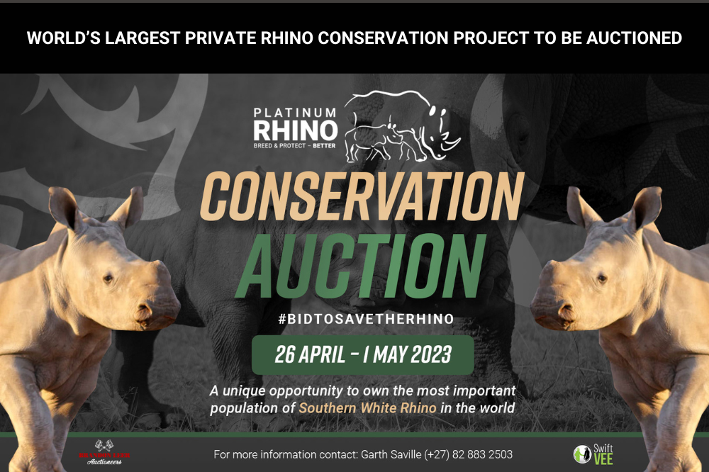 World’s largest private rhino conservation project to be auctioned