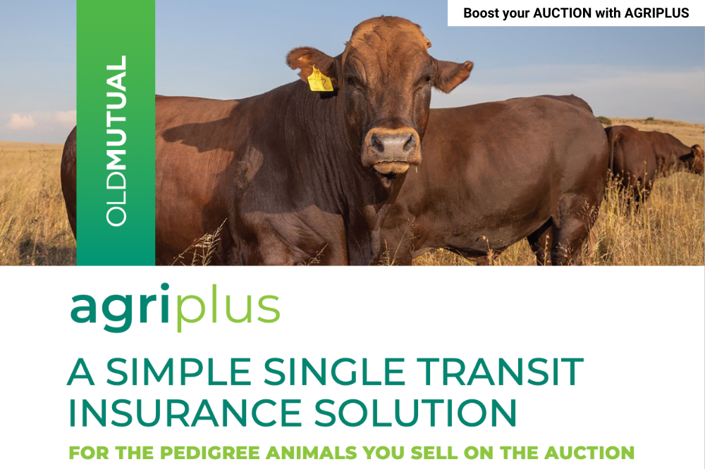 Boost your AUCTION with AGRIPLUS 