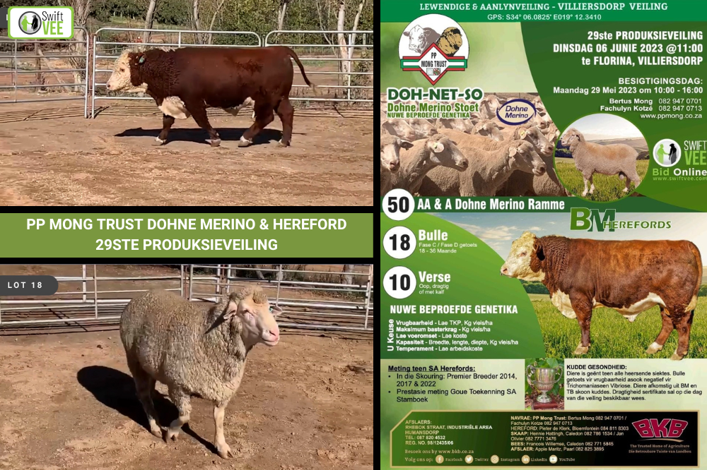 Moenie die PP Mong Trust Dohne Merino &amp; Hereford 29ste Produksieveiling misloop nie.