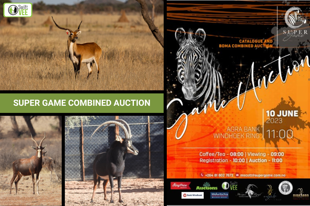 The Super Game Combined Auction on 10 June 2023