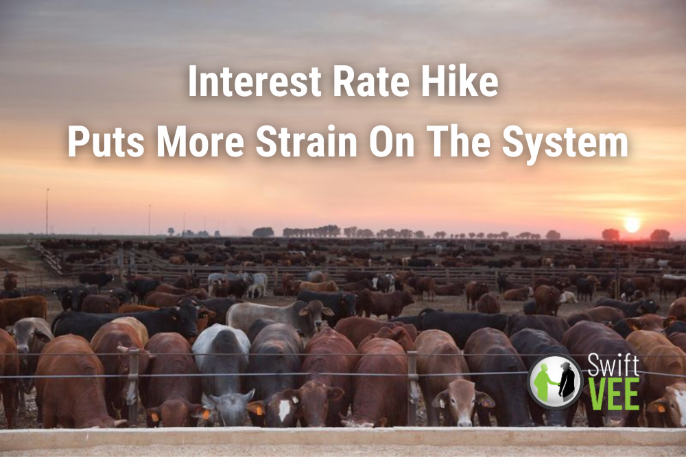 Interest Rate Hike Puts More Strain On The System