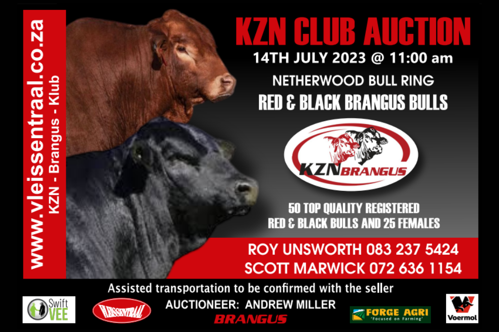 The KZN Brangus Club Auction
