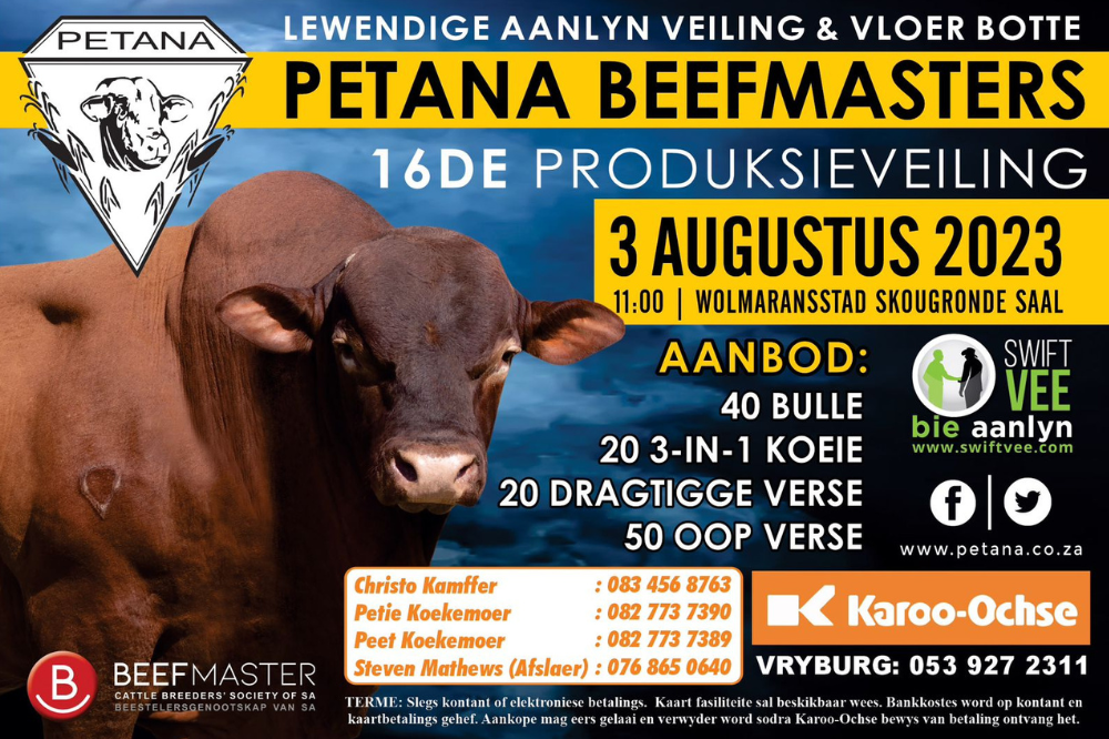 Petana Beefmasters - Quality Beefmasters
