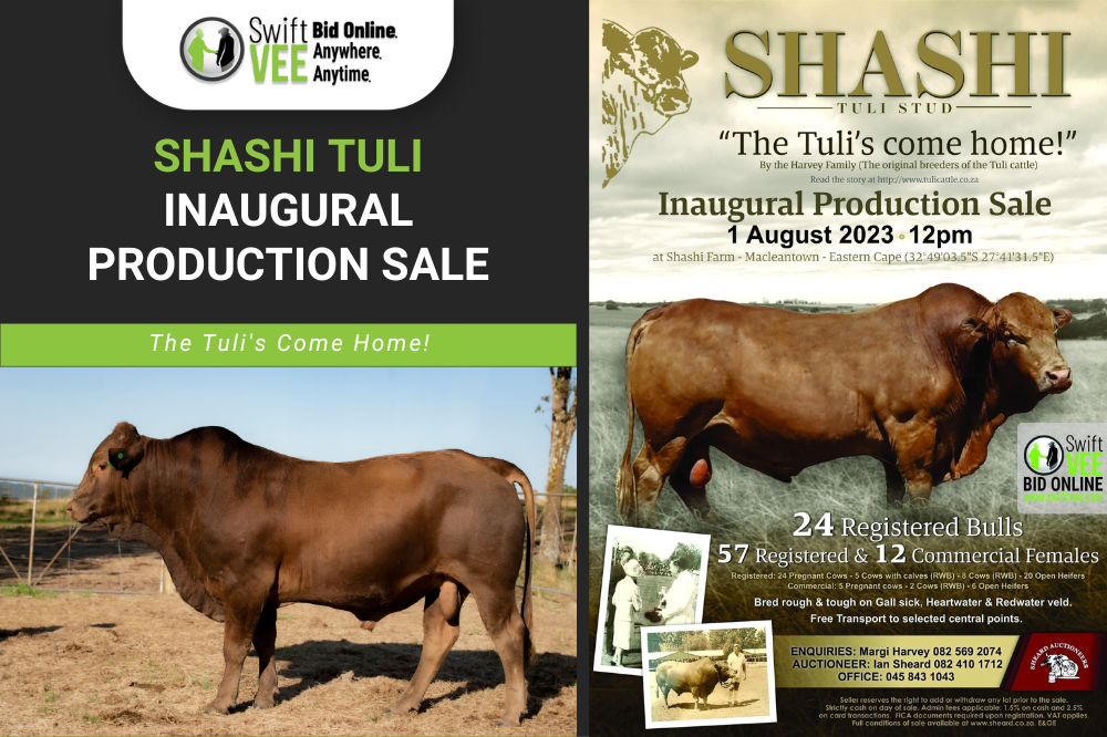 Shashi Tuli Inaugural Production Sale