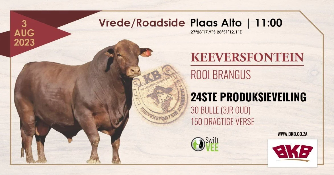 Keeversfontein Rooi Brangus se 24ste Produksieveiling