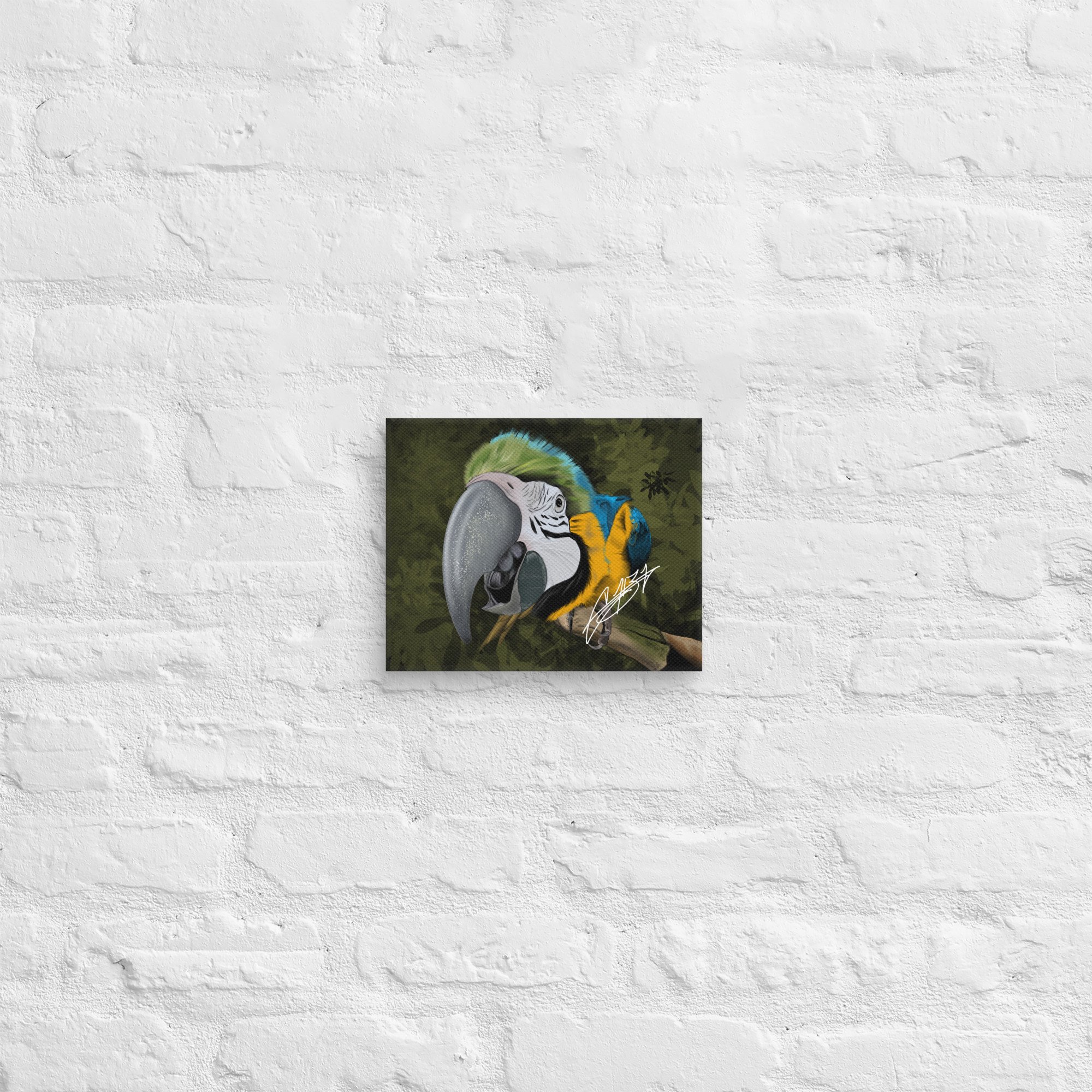 canvas-(in)-8x10-front-67b753a7a762e.jpg
