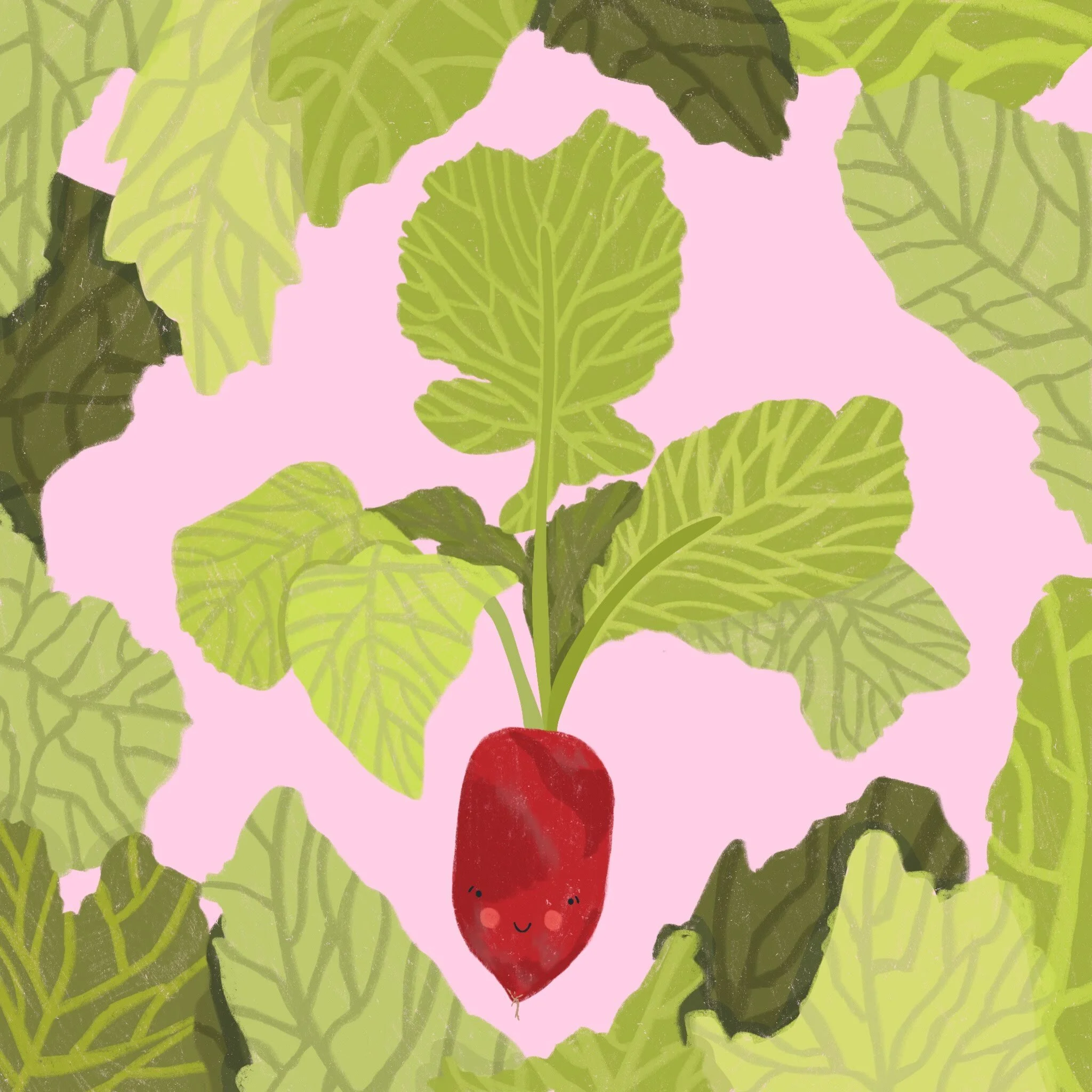 Radish.JPG