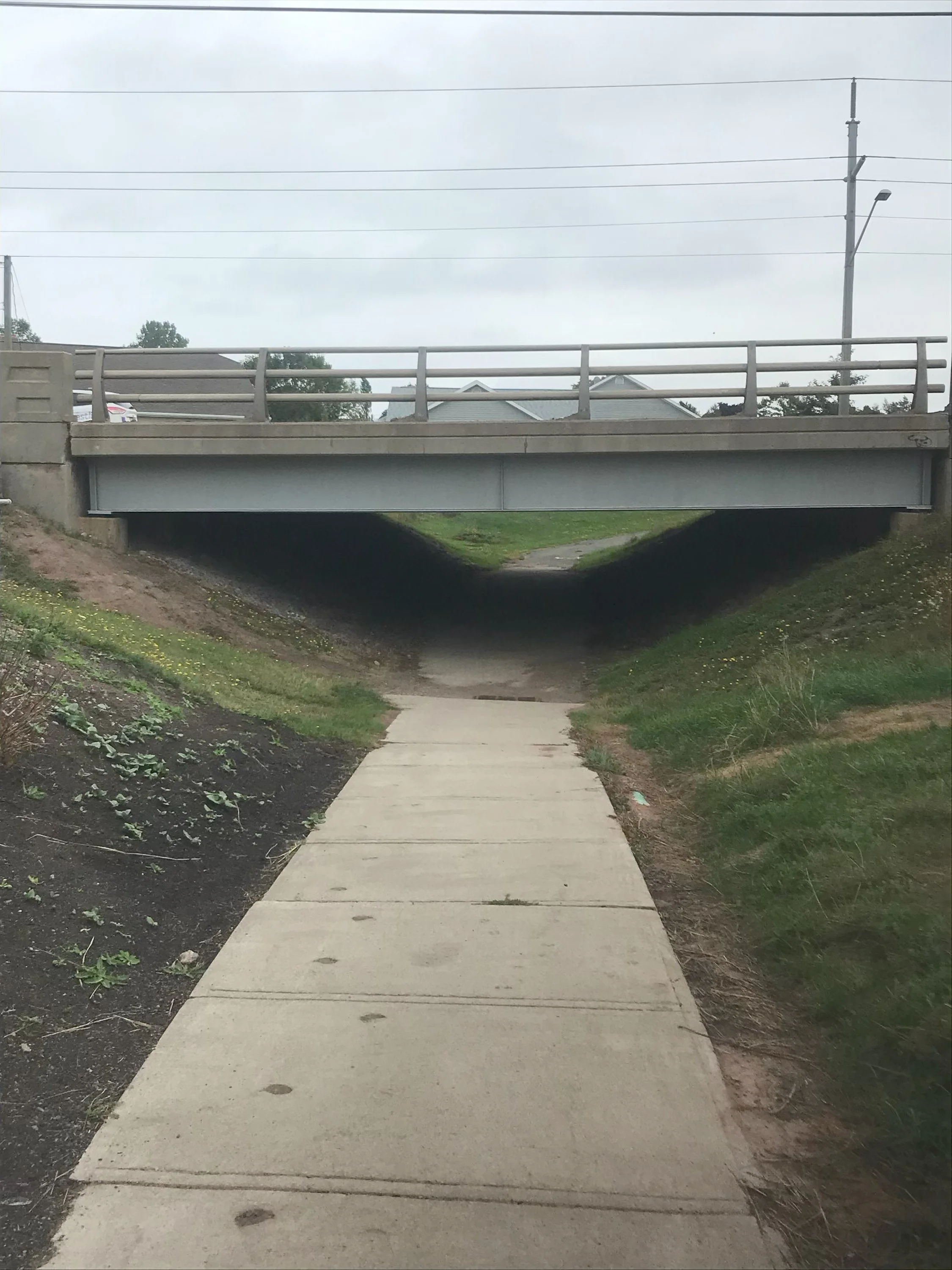 0025 Bridge.jpeg