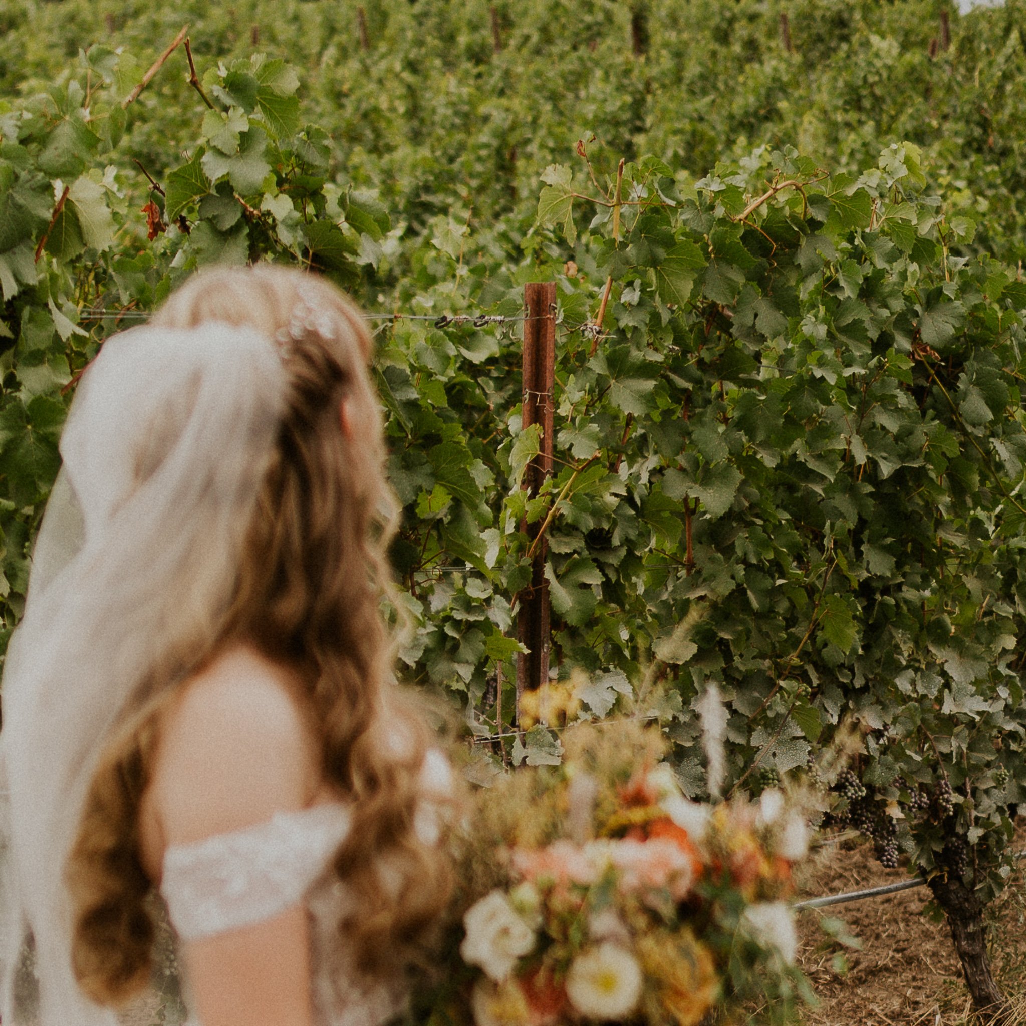Oregon Vineyard Intimate Wedding (59).jpg