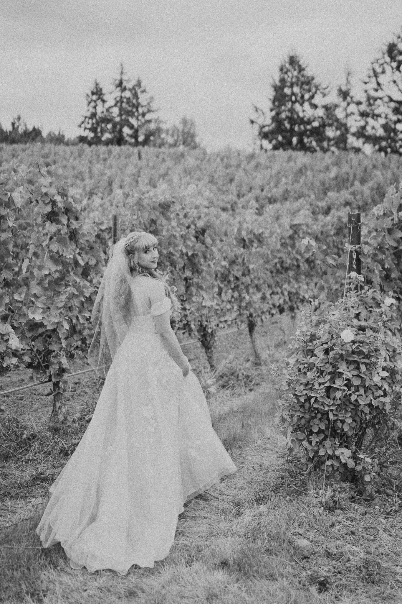 Oregon Vineyard Intimate Wedding (61).jpg