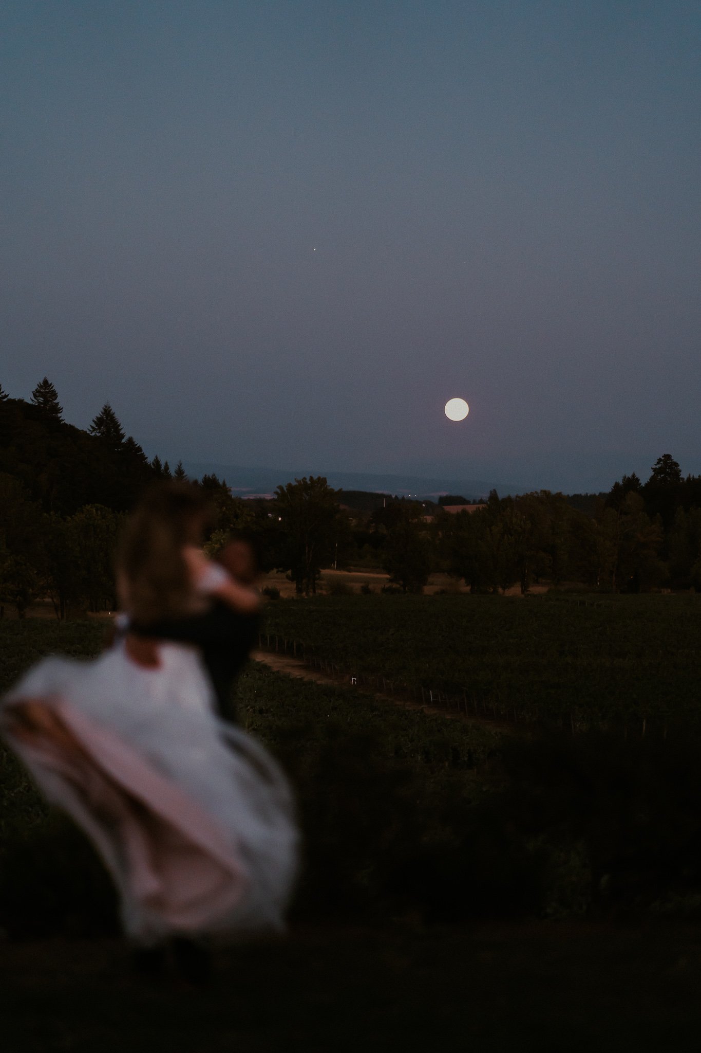 Oregon Vineyard Intimate Wedding (49).jpg