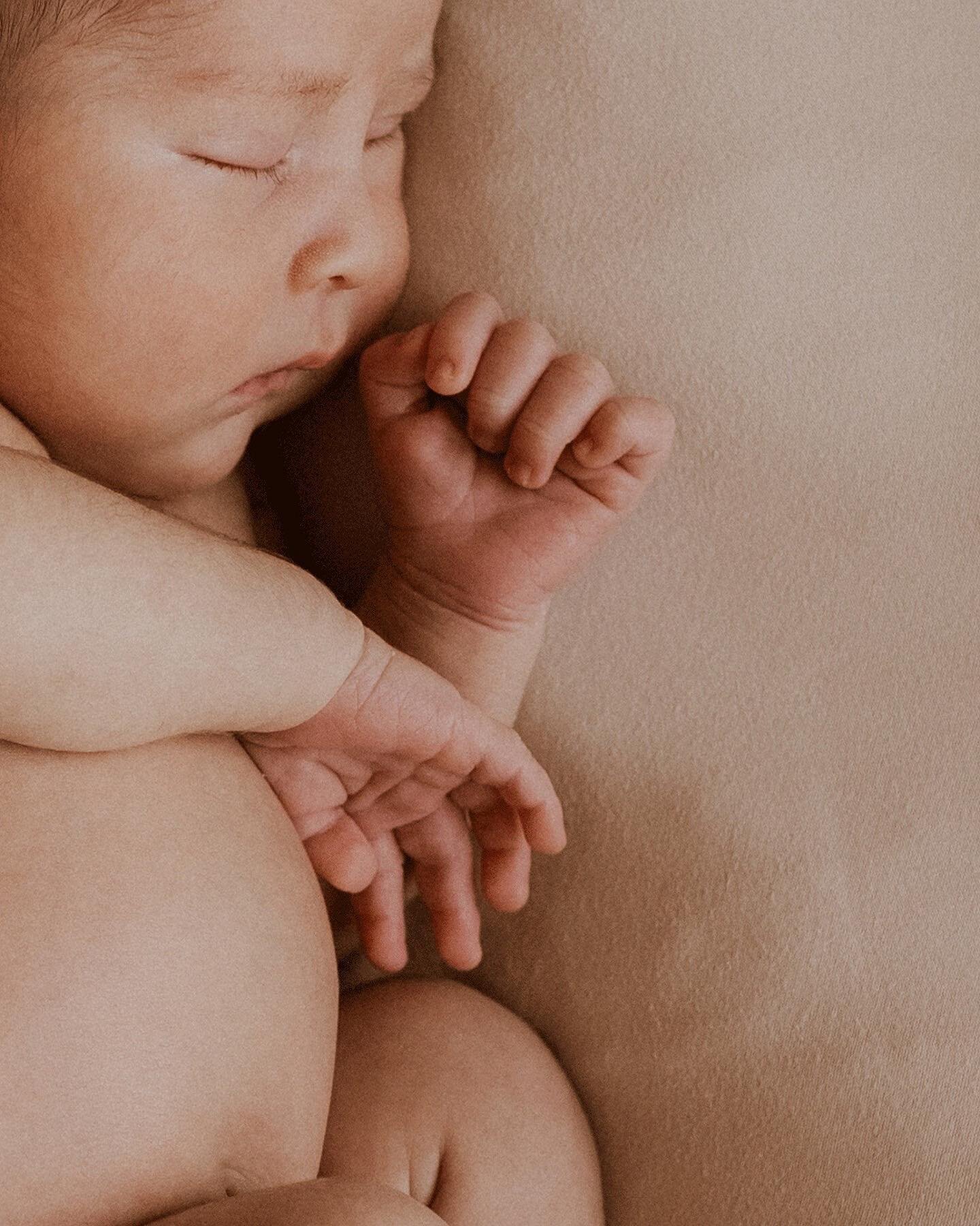 Baby cooper 🖤
Sweet little guy slept the whole time (even while we poked and prodded him)
.
.
.

📍This photo was taken on Duwamish, Suquamish, Snoqualmie, Stillaguamish, Cayuse, Umatilla and Walla Walla native land
#pnwphotographer #pacificnorthwes