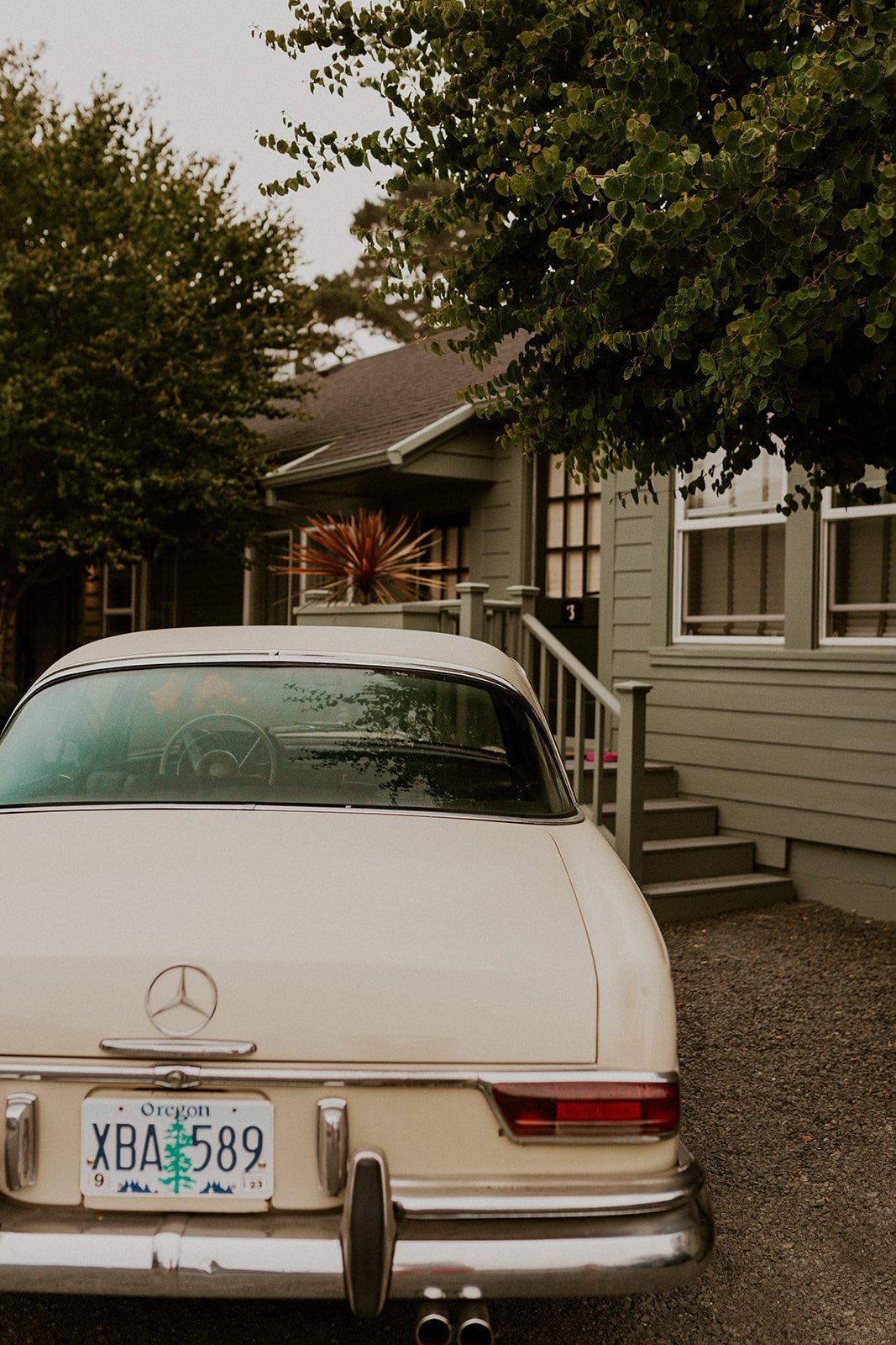 C&D Oregon Coast Elopement-3.jpg