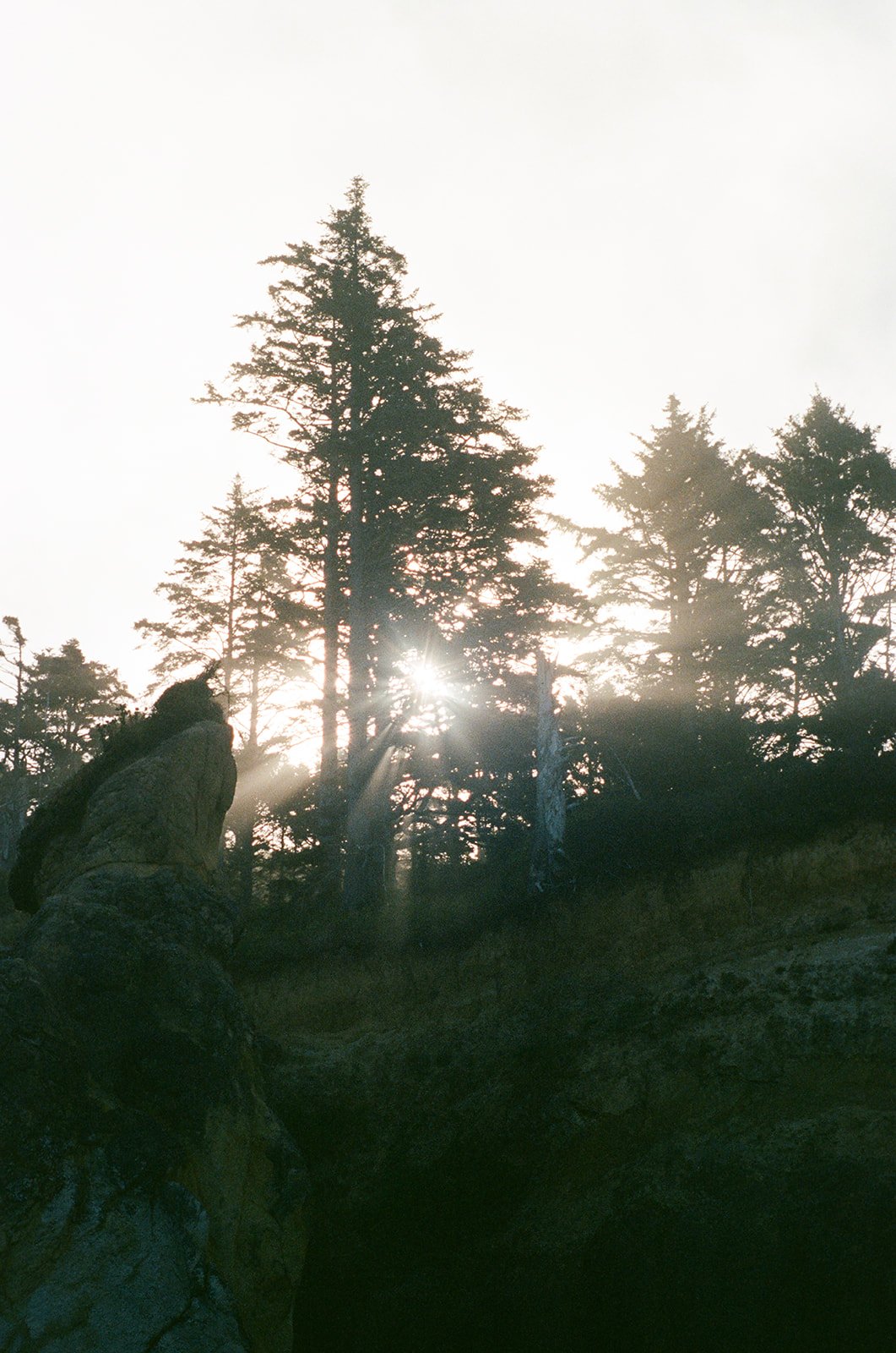 Oregon Coast Elopement Film Photography