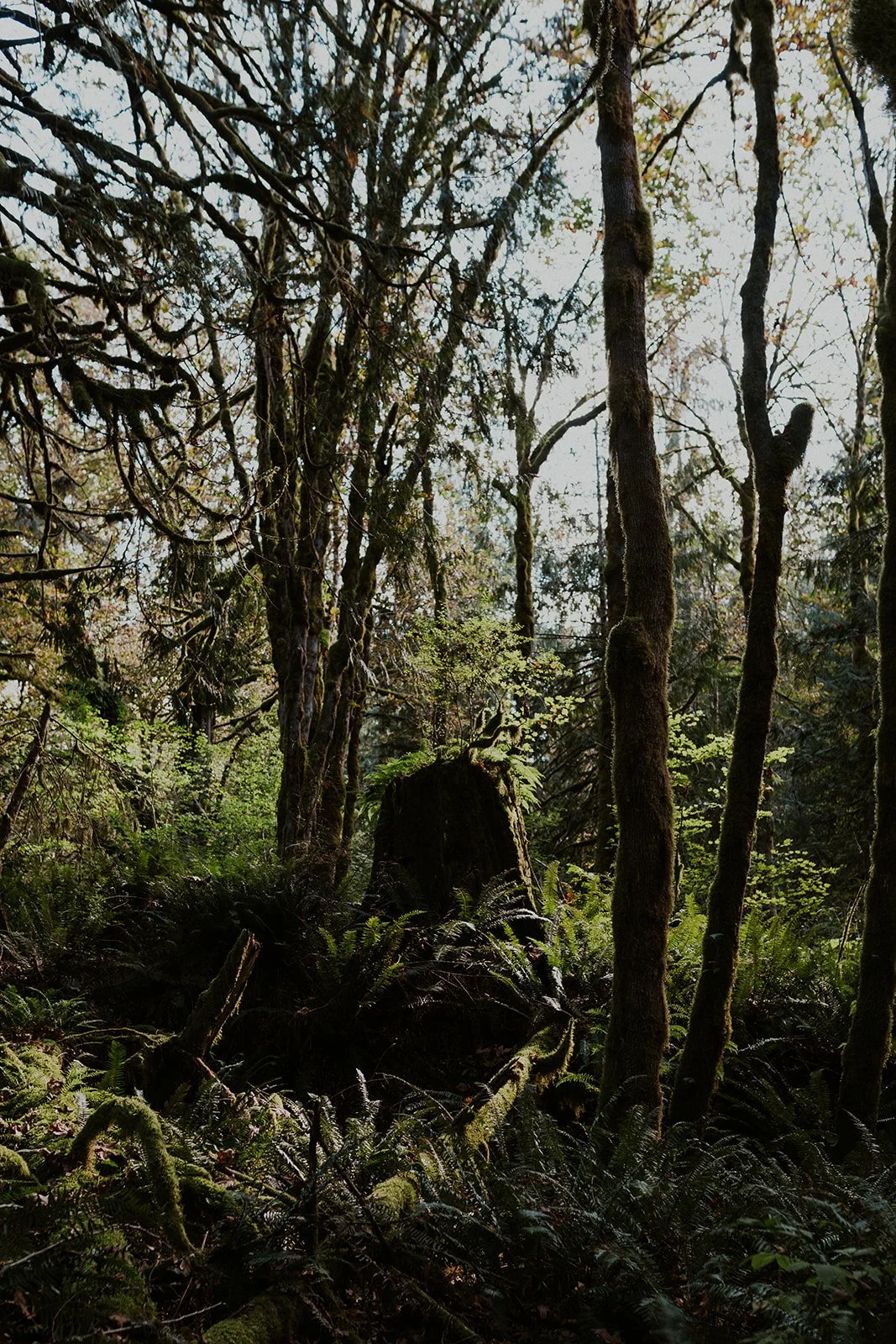 K&T Adventure Session - Lyndsey Greene Photography (4 of 94).jpg