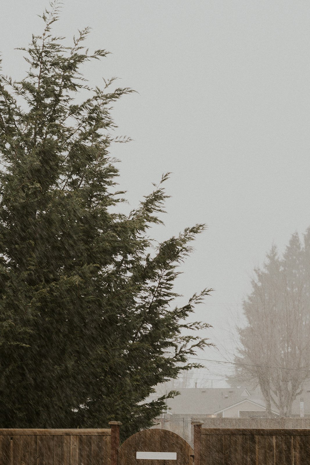 R&K Wedding - Ceremony (2 of 132).jpg